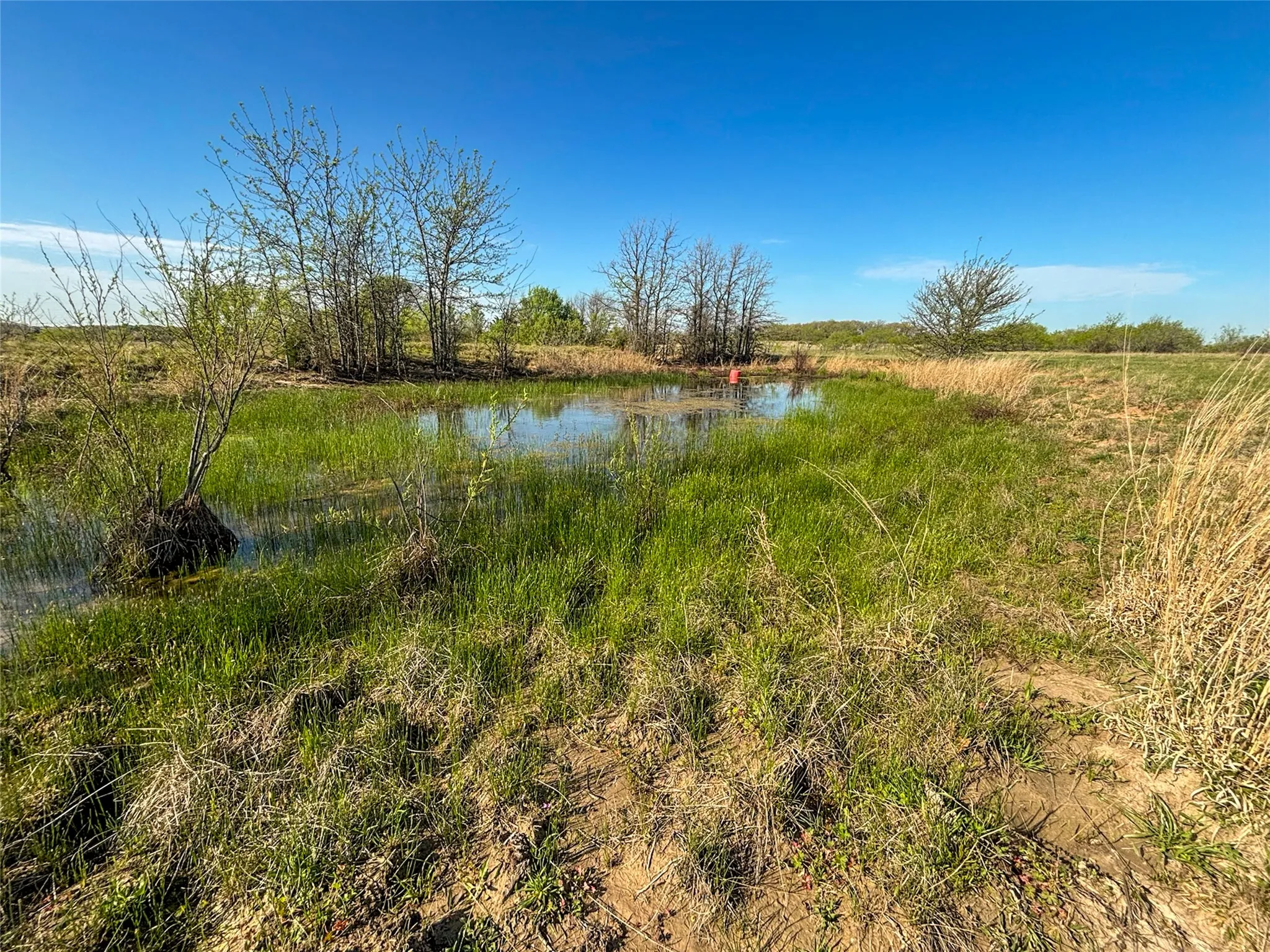 Unimproved Land For Sale in Wise County , 384 Cr-1475, Alvord, Texas 76225, 0, 0, Garage spaces, 0 Sqft, built in 0, mls#21221628, Real Estate Agent in Alvord, Homes For Sale in Wise county, Homes For Sale in Alvord, Realtor in Alvord Texas, Real Estate Brokerage Independent Realty Texas, Luminita Cordes Realtor