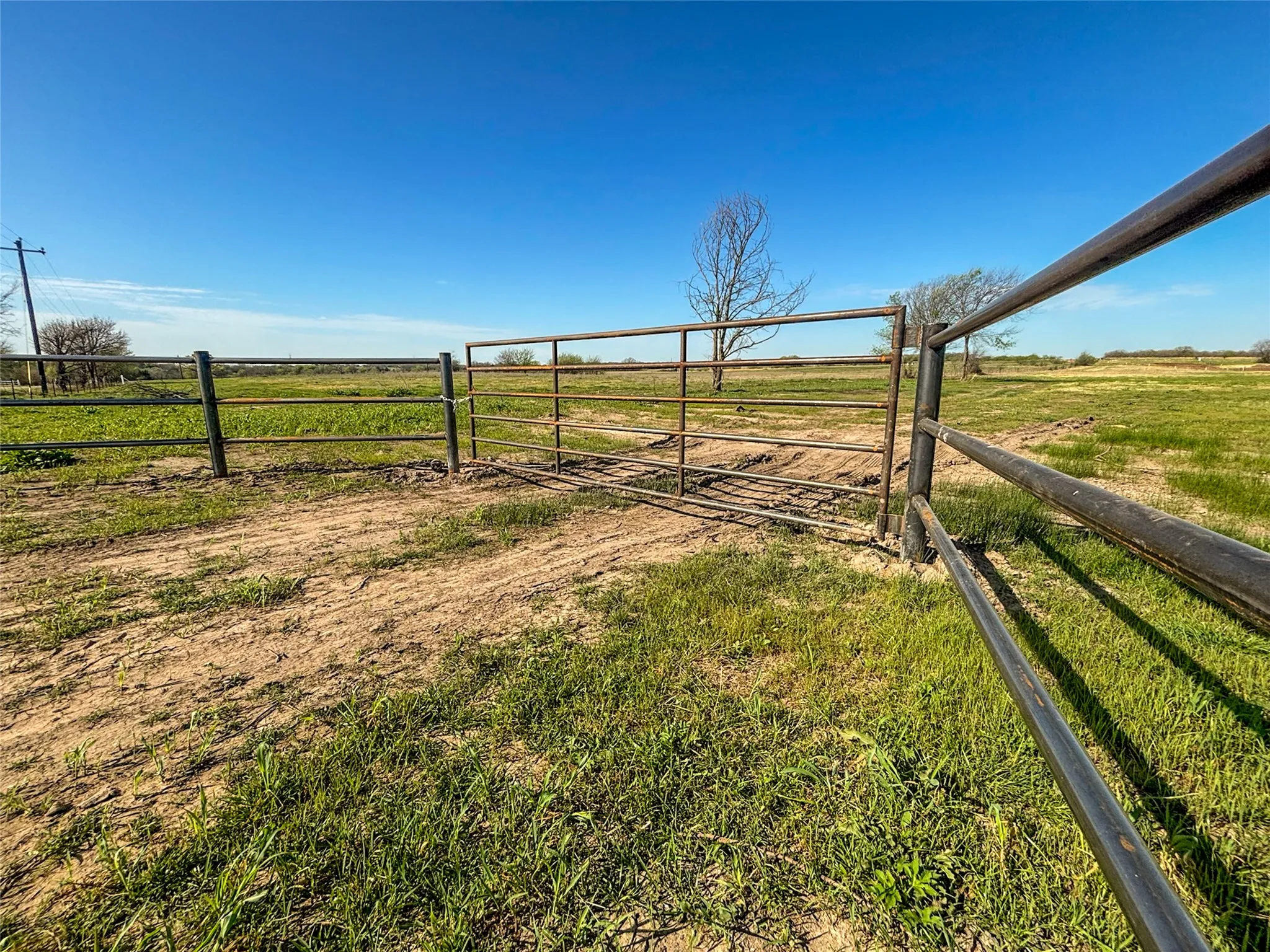Unimproved Land For Sale in Wise County , 384 Cr-1475, Alvord, Texas 76225, 0, 0, Garage spaces, 0 Sqft, built in 0, mls#21221628, Real Estate Agent in Alvord, Homes For Sale in Wise county, Homes For Sale in Alvord, Realtor in Alvord Texas, Real Estate Brokerage Independent Realty Texas, Luminita Cordes Realtor