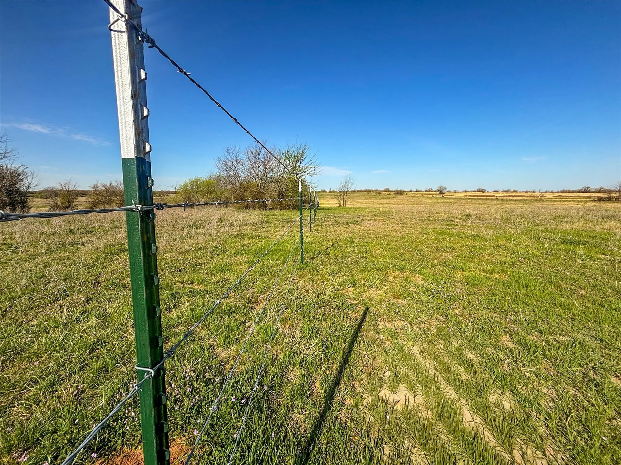 Unimproved Land For Sale in Wise County , 384 Cr-1475, Alvord, Texas 76225, 0, 0, Garage spaces, 0 Sqft, built in 0, mls#21221628, Real Estate Agent in Alvord, Homes For Sale in Wise county, Homes For Sale in Alvord, Realtor in Alvord Texas, Real Estate Brokerage Independent Realty Texas, Luminita Cordes Realtor