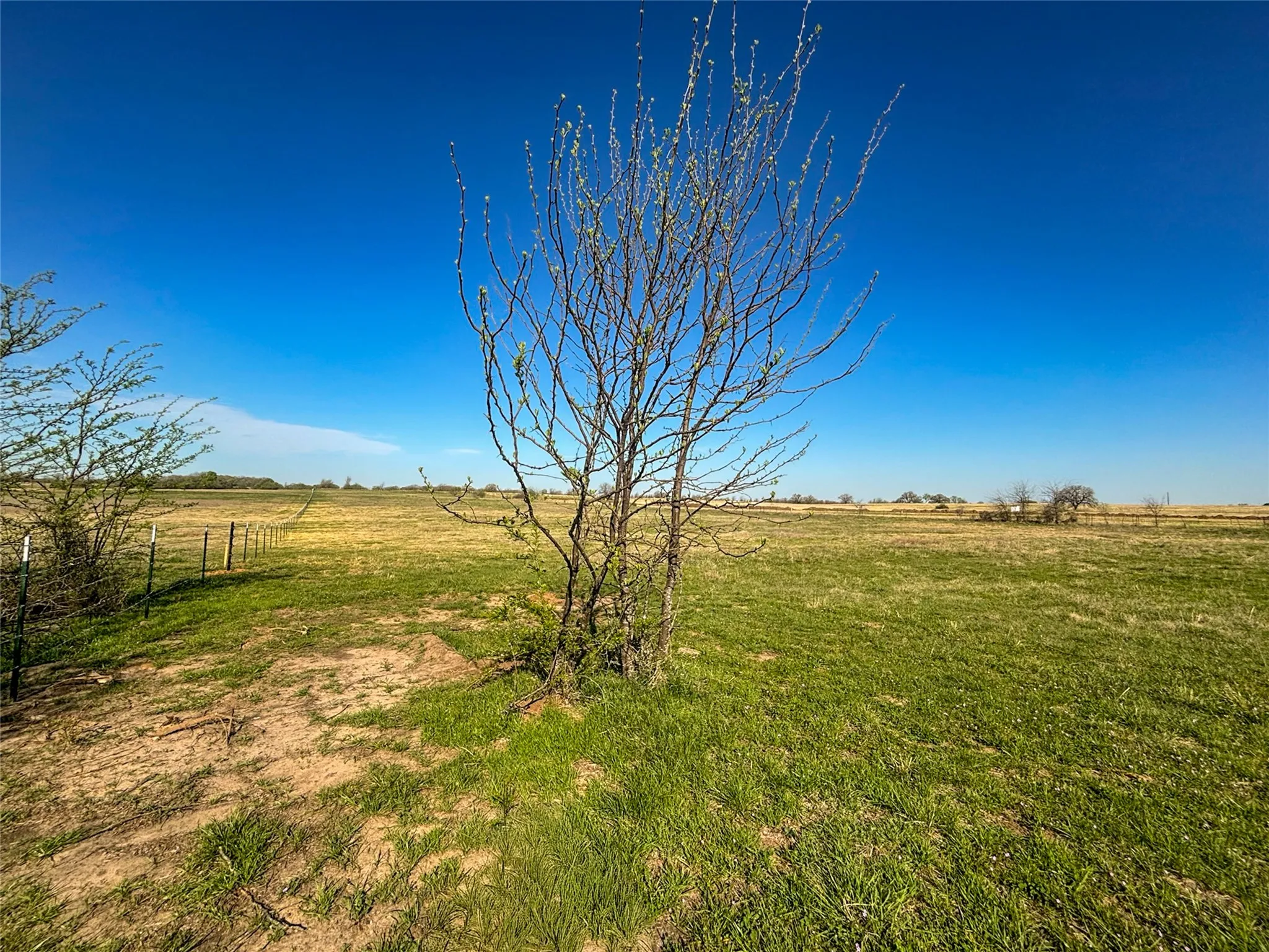 Unimproved Land For Sale in Wise County , 384 Cr-1475, Alvord, Texas 76225, 0, 0, Garage spaces, 0 Sqft, built in 0, mls#21221628, Real Estate Agent in Alvord, Homes For Sale in Wise county, Homes For Sale in Alvord, Realtor in Alvord Texas, Real Estate Brokerage Independent Realty Texas, Luminita Cordes Realtor