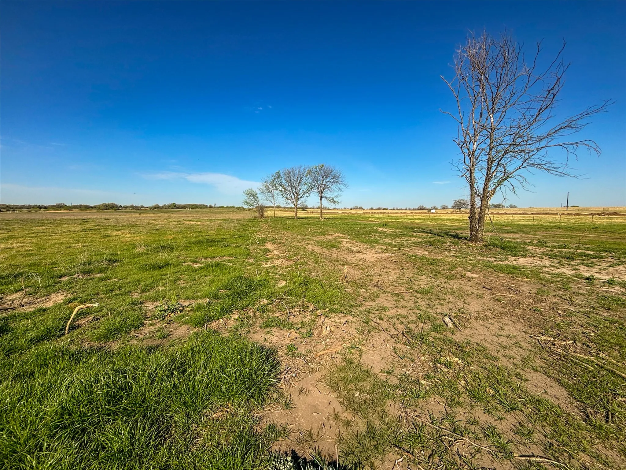 Unimproved Land For Sale in Wise County , 384 Cr-1475, Alvord, Texas 76225, 0, 0, Garage spaces, 0 Sqft, built in 0, mls#21221628, Real Estate Agent in Alvord, Homes For Sale in Wise county, Homes For Sale in Alvord, Realtor in Alvord Texas, Real Estate Brokerage Independent Realty Texas, Luminita Cordes Realtor