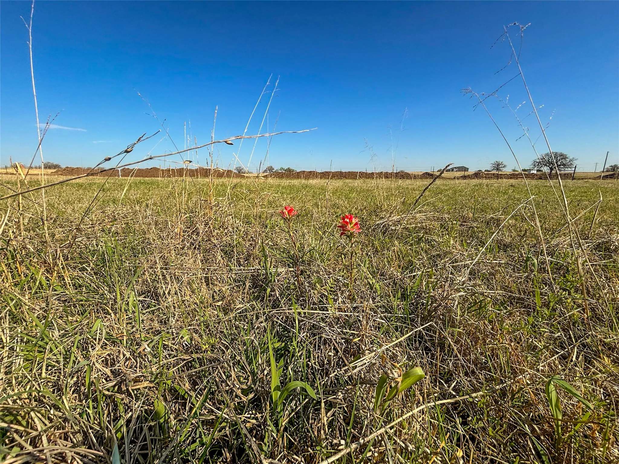 Unimproved Land For Sale in Wise County , 384 Cr-1475, Alvord, Texas 76225, 0, 0, Garage spaces, 0 Sqft, built in 0, mls#21221628, Real Estate Agent in Alvord, Homes For Sale in Wise county, Homes For Sale in Alvord, Realtor in Alvord Texas, Real Estate Brokerage Independent Realty Texas, Luminita Cordes Realtor