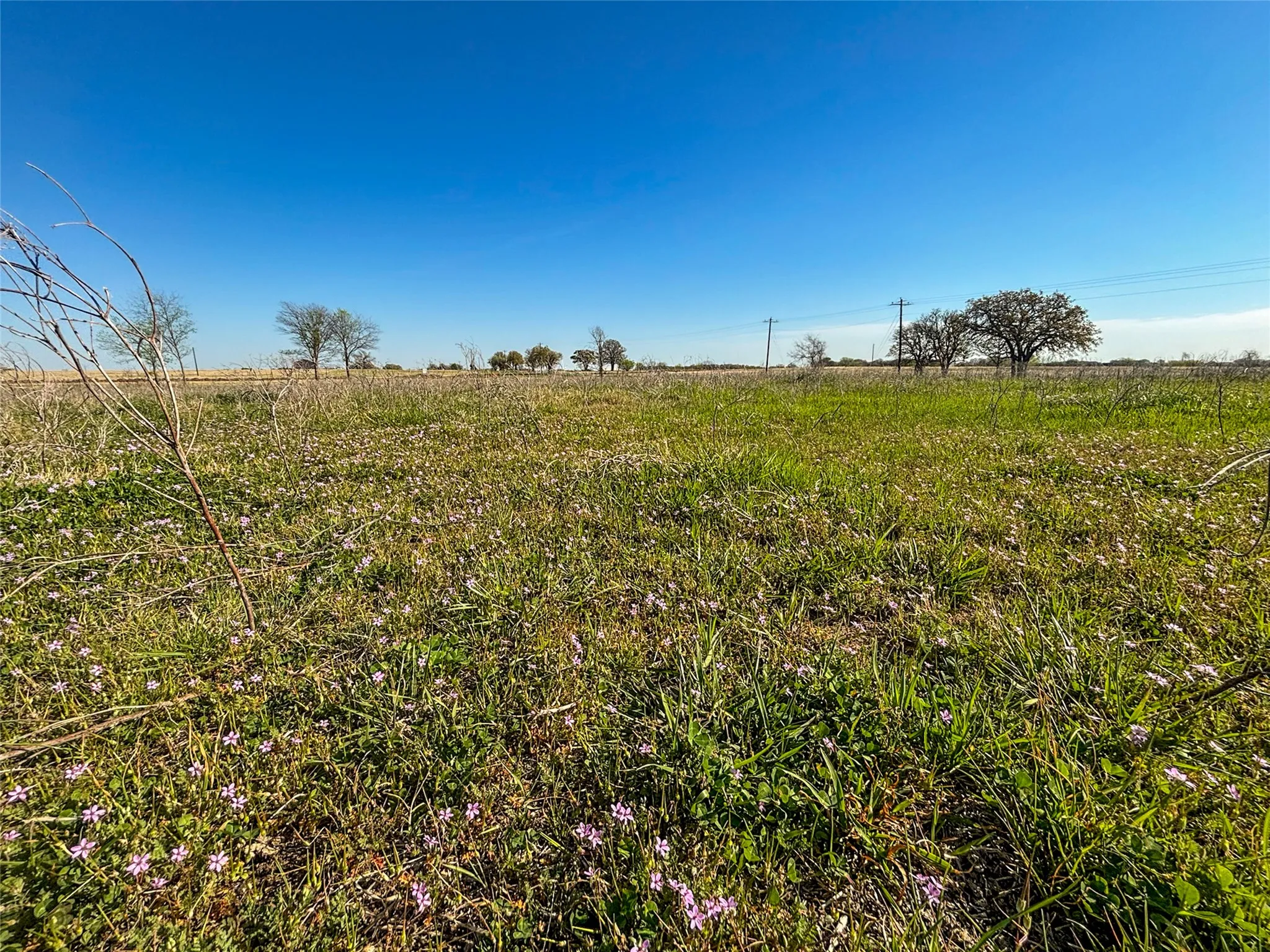 Unimproved Land For Sale in Wise County , 384 Cr-1475, Alvord, Texas 76225, 0, 0, Garage spaces, 0 Sqft, built in 0, mls#21221628, Real Estate Agent in Alvord, Homes For Sale in Wise county, Homes For Sale in Alvord, Realtor in Alvord Texas, Real Estate Brokerage Independent Realty Texas, Luminita Cordes Realtor