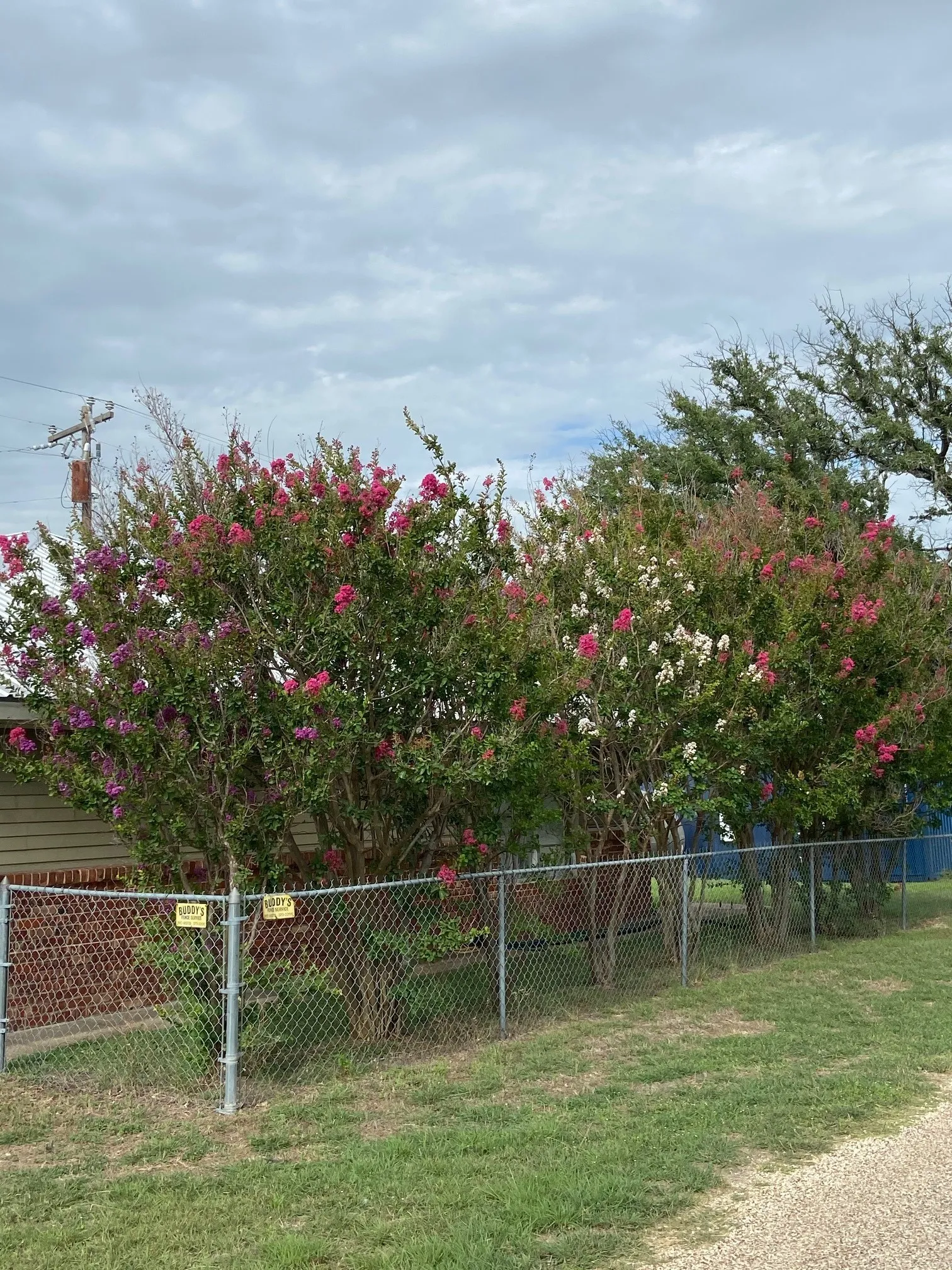 Single Family Residence For Sale in Bosque County , 104 County Road 1296, Morgan, Texas 76671, 3 Bedroom, 2 Bathroom, 1 Garage spaces, 1,419 Sqft, built in 1965, Price $179,900, mls#21221953, Real Estate Agent in Morgan, Homes For Sale in Bosque county, Homes For Sale in Morgan, Realtor in Morgan Texas, Real Estate Brokerage Independent Realty Texas, Luminita Cordes Realtor
