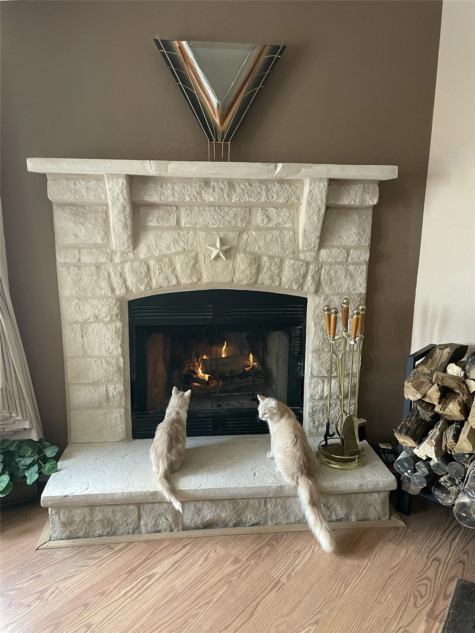Cozy wood burning fireplace
