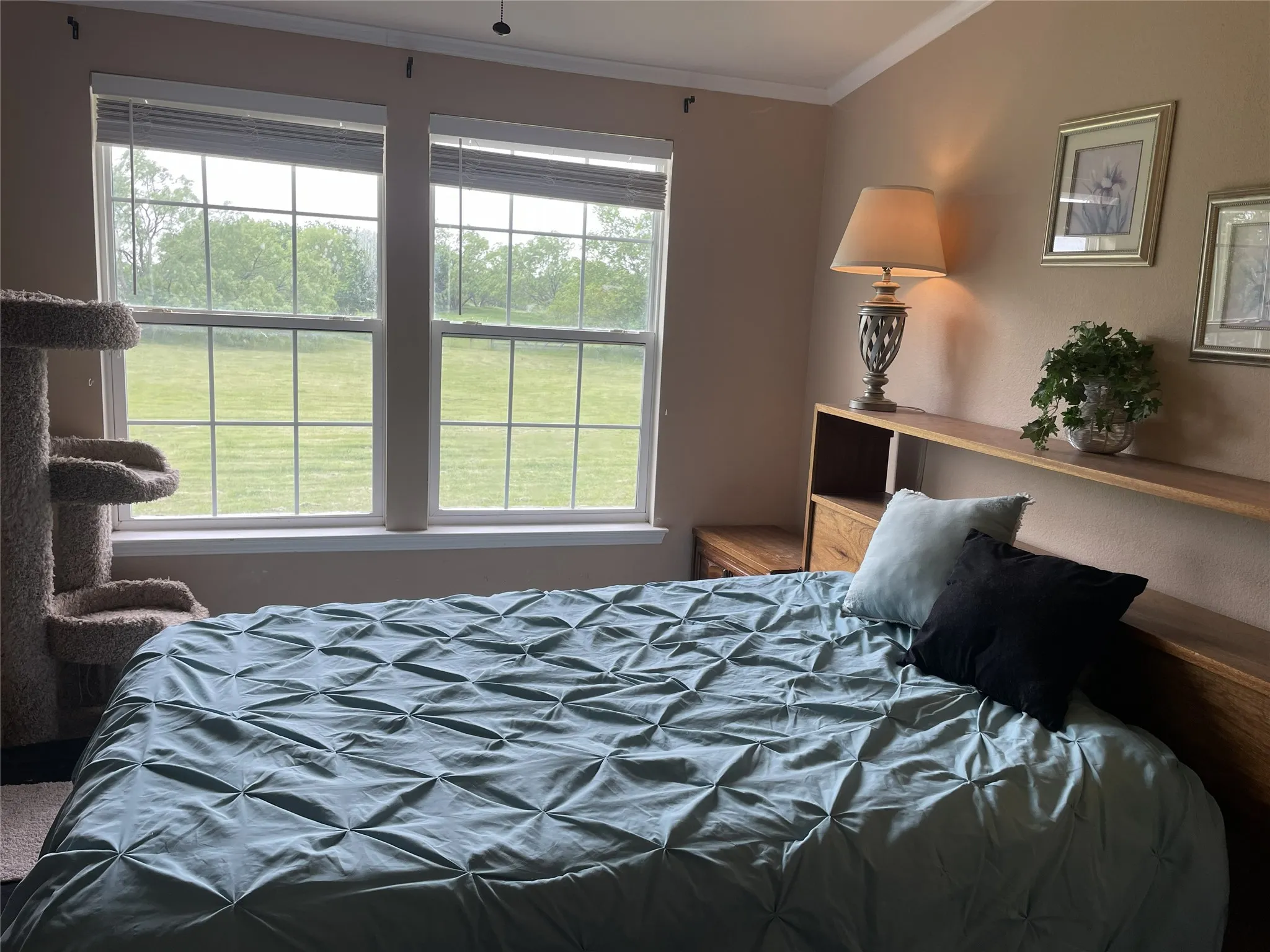 Guest bedroom with a walk in closet looking out at the pasture & ponds.