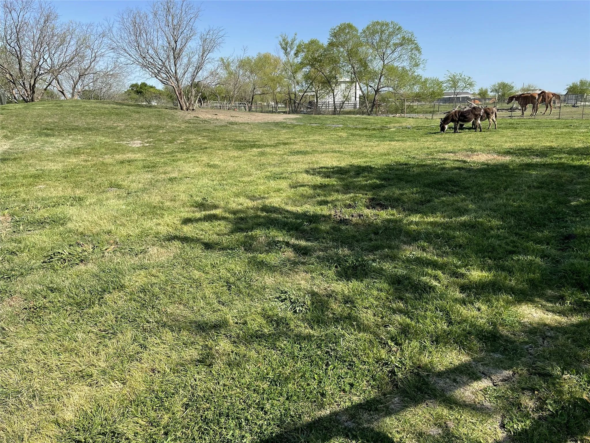 Grassy Pastures!