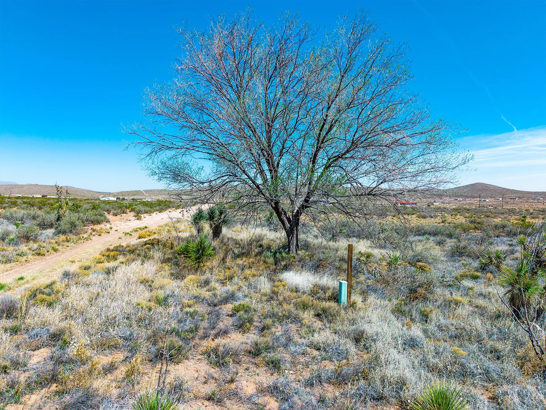 Unimproved Land For Sale in Hudspeth County , TBD Dave Head Loop, Fort Hancock, Texas 79839, 0, 0, Garage spaces, 0 Sqft, built in 0, mls#21220416, Real Estate Agent in Fort Hancock, Homes For Sale in Hudspeth county, Homes For Sale in Fort Hancock, Realtor in Fort Hancock Texas, Real Estate Brokerage Independent Realty Texas, Luminita Cordes Realtor