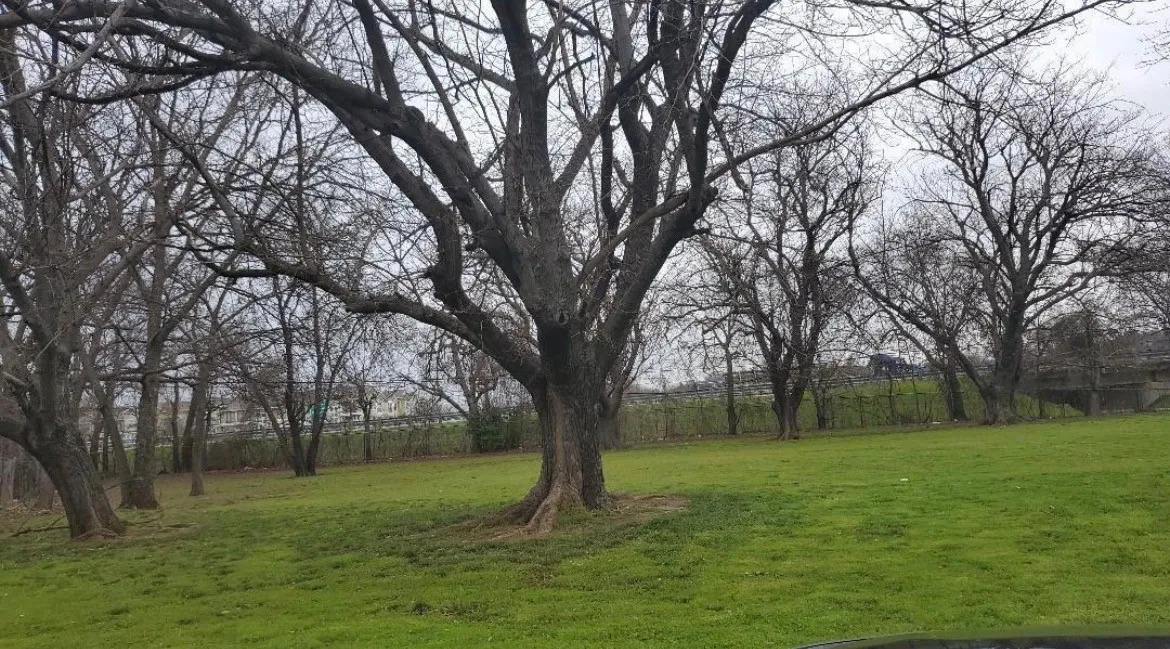 Unimproved Land For Sale in Johnson County , 319 E Miller Street, Burleson, Texas 76028, 0, 0, Garage spaces, 0 Sqft, built in 0, mls#21222187, Real Estate Agent in Burleson, Homes For Sale in Johnson county, Homes For Sale in Burleson, Realtor in Burleson Texas, Real Estate Brokerage Independent Realty Texas, Luminita Cordes Realtor