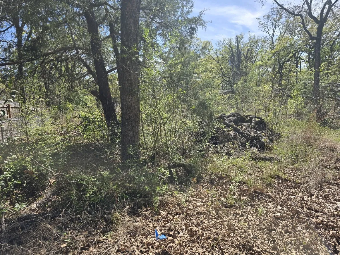 Unimproved Land For Sale in Henderson County , Lot 742 Oak Haven Drive, Gun Barrel City, Texas 75156, 0, 0, Garage spaces, 0 Sqft, built in 0, mls#21195449, Real Estate Agent in Gun Barrel City, Homes For Sale in Henderson county, Homes For Sale in Gun Barrel City, Realtor in Gun Barrel City Texas, Real Estate Brokerage Independent Realty Texas, Luminita Cordes Realtor