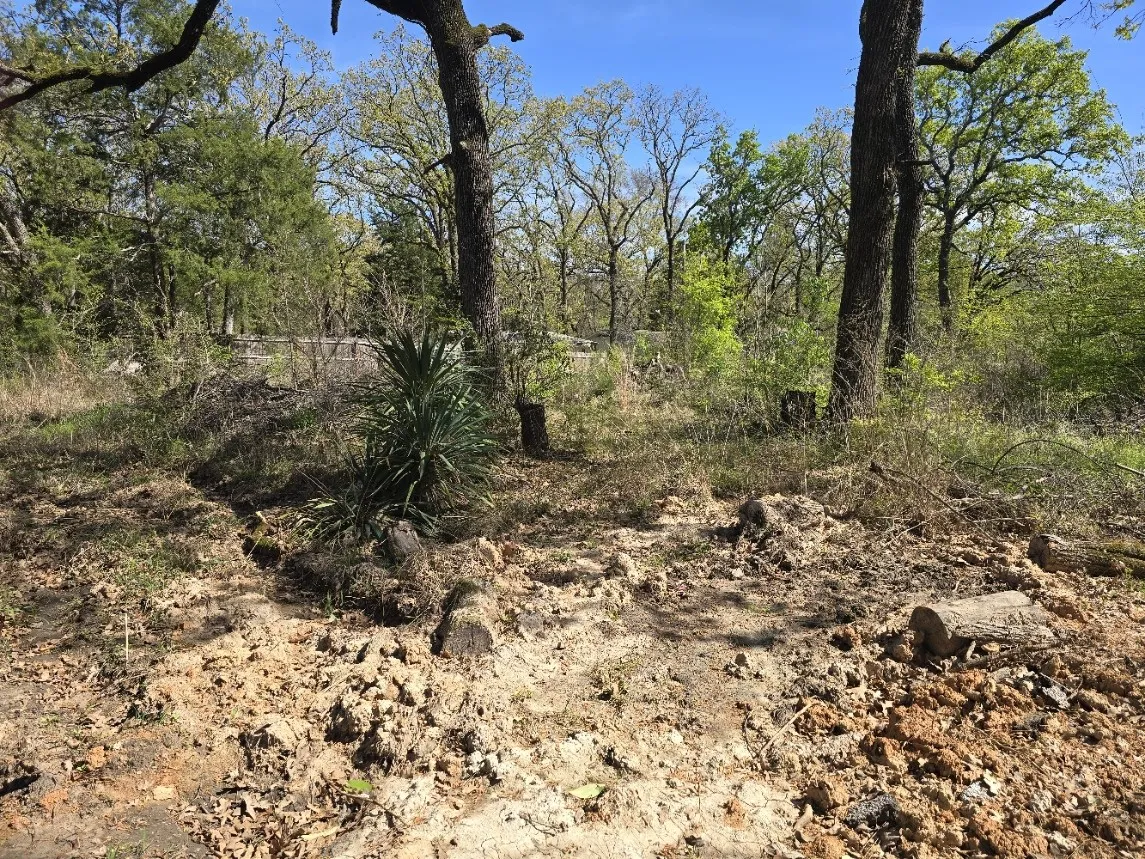 Unimproved Land For Sale in Henderson County , Lot 742 Oak Haven Drive, Gun Barrel City, Texas 75156, 0, 0, Garage spaces, 0 Sqft, built in 0, mls#21195449, Real Estate Agent in Gun Barrel City, Homes For Sale in Henderson county, Homes For Sale in Gun Barrel City, Realtor in Gun Barrel City Texas, Real Estate Brokerage Independent Realty Texas, Luminita Cordes Realtor