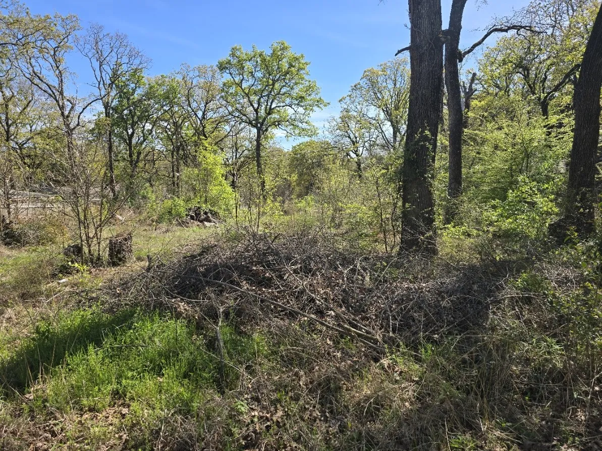 Unimproved Land For Sale in Henderson County , Lot 742 Oak Haven Drive, Gun Barrel City, Texas 75156, 0, 0, Garage spaces, 0 Sqft, built in 0, mls#21195449, Real Estate Agent in Gun Barrel City, Homes For Sale in Henderson county, Homes For Sale in Gun Barrel City, Realtor in Gun Barrel City Texas, Real Estate Brokerage Independent Realty Texas, Luminita Cordes Realtor