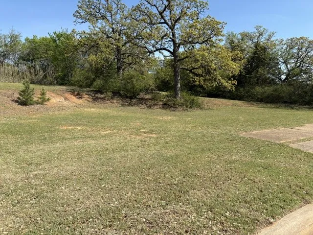 Unimproved Land For Sale in Grayson County , 1918 S Mirick Avenue, Denison, Texas 75020, 0, 0, Garage spaces, 0 Sqft, built in 0, mls#21222282, Real Estate Agent in Denison, Homes For Sale in Grayson county, Homes For Sale in Denison, Realtor in Denison Texas, Real Estate Brokerage Independent Realty Texas, Luminita Cordes Realtor