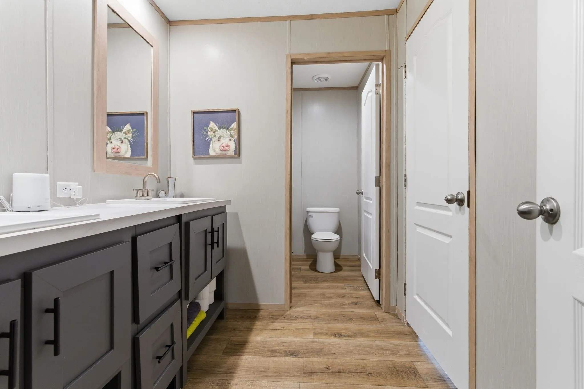 Jack-and-Jill Bathroom