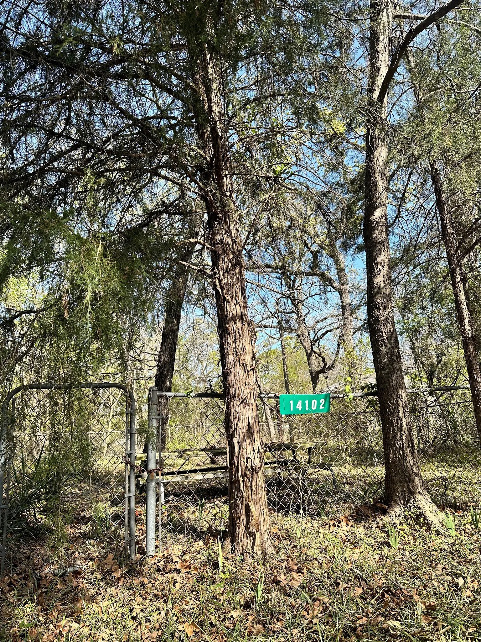View of extra lot
