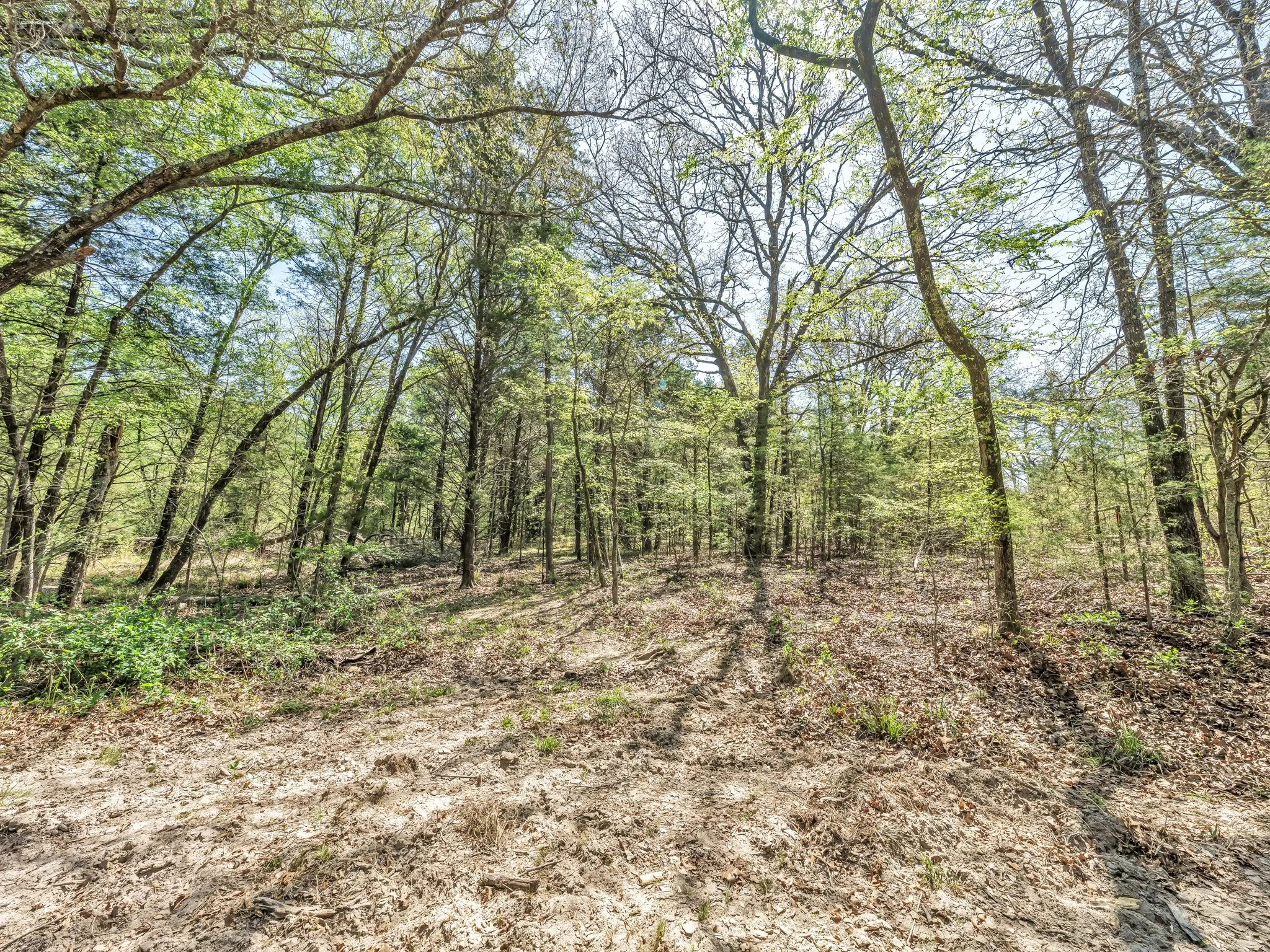 Unimproved Land For Sale in Hunt County , na County Road 3306, Greenville, Texas 75402, 0, 0, Garage spaces, 0 Sqft, built in 0, mls#21222521, Real Estate Agent in Greenville, Homes For Sale in Hunt county, Homes For Sale in Greenville, Realtor in Greenville Texas, Real Estate Brokerage Independent Realty Texas, Luminita Cordes Realtor