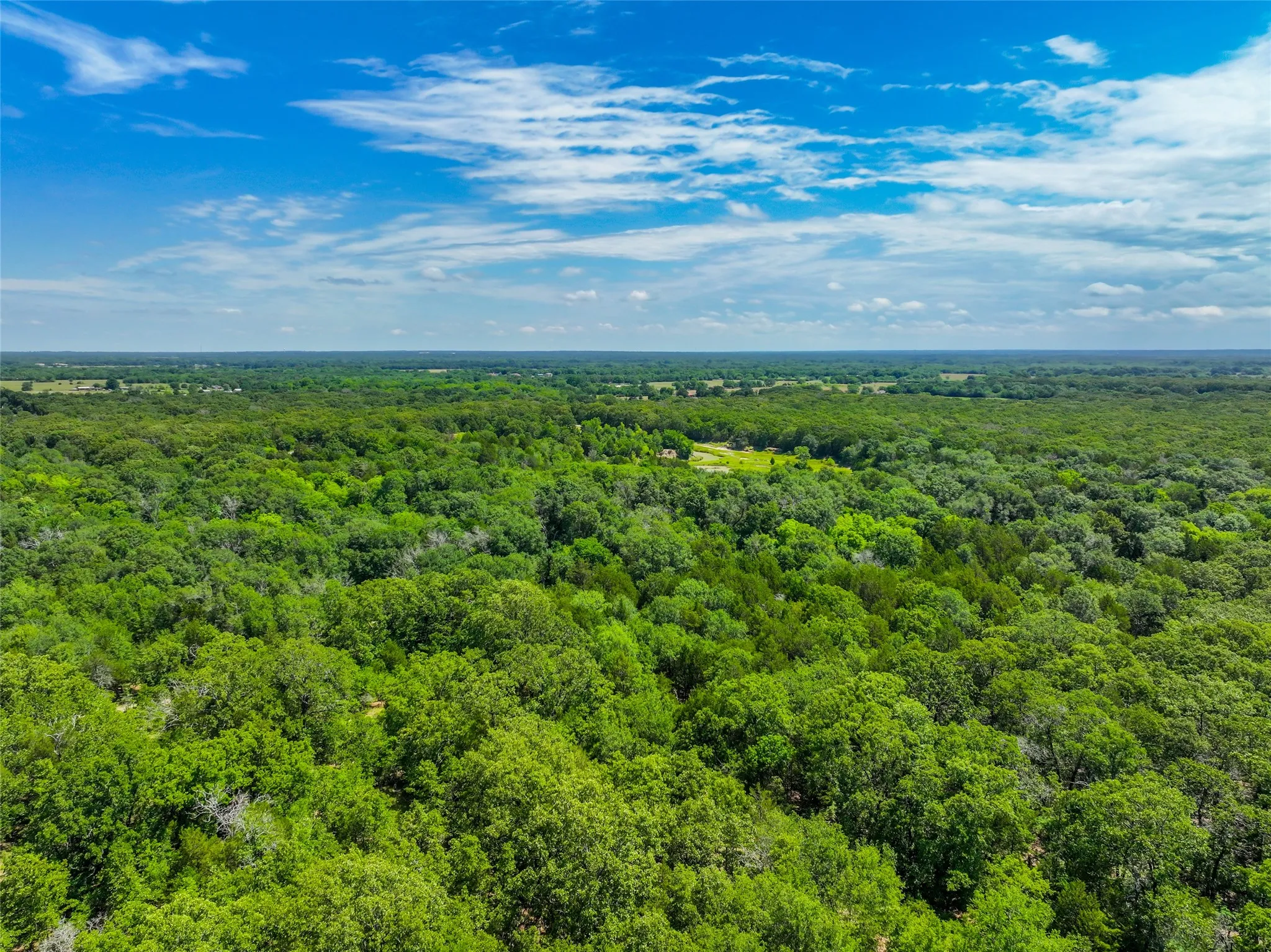 Unimproved Land For Sale in Hunt County , na County Road 3306, Greenville, Texas 75402, 0, 0, Garage spaces, 0 Sqft, built in 0, mls#21222521, Real Estate Agent in Greenville, Homes For Sale in Hunt county, Homes For Sale in Greenville, Realtor in Greenville Texas, Real Estate Brokerage Independent Realty Texas, Luminita Cordes Realtor