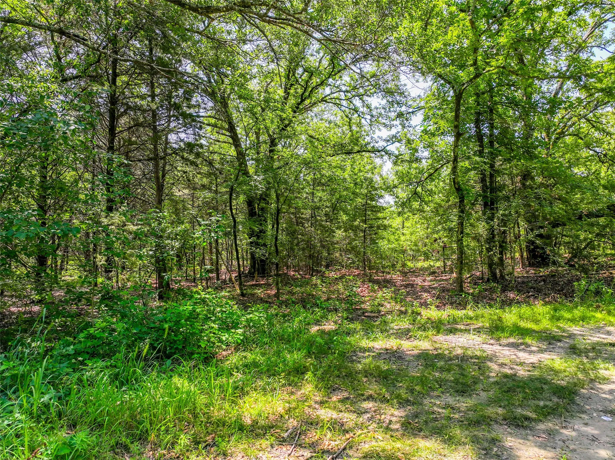Unimproved Land For Sale in Hunt County , na County Road 3306, Greenville, Texas 75402, 0, 0, Garage spaces, 0 Sqft, built in 0, mls#21222521, Real Estate Agent in Greenville, Homes For Sale in Hunt county, Homes For Sale in Greenville, Realtor in Greenville Texas, Real Estate Brokerage Independent Realty Texas, Luminita Cordes Realtor