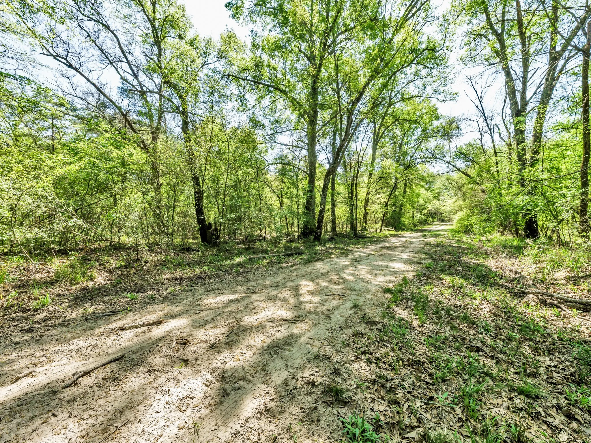 Unimproved Land For Sale in Hunt County , 0 County Road 3306, Greenville, Texas 75401, 0, 0, Garage spaces, 0 Sqft, built in 0, mls#21222530, Real Estate Agent in Greenville, Homes For Sale in Hunt county, Homes For Sale in Greenville, Realtor in Greenville Texas, Real Estate Brokerage Independent Realty Texas, Luminita Cordes Realtor