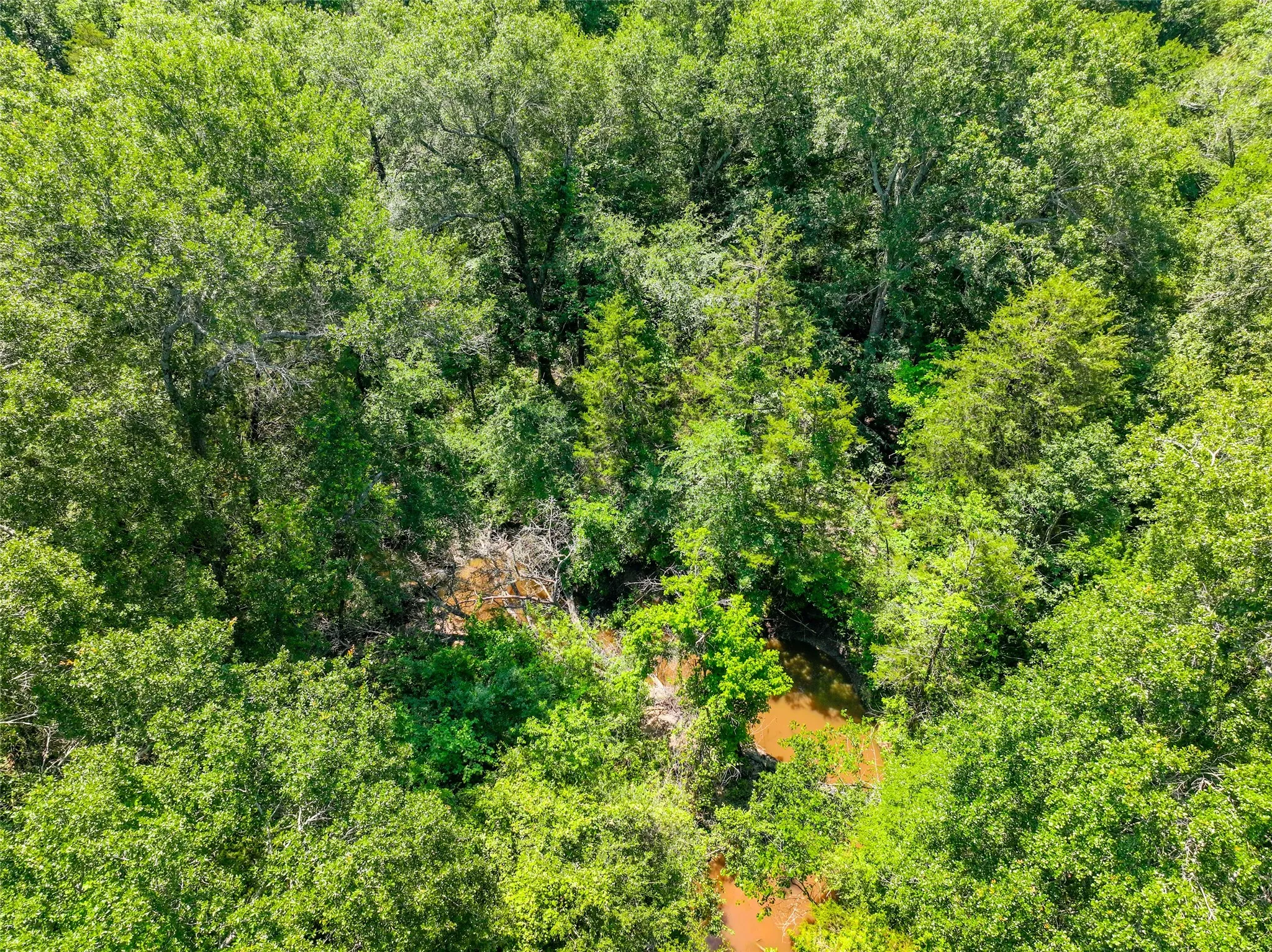 Unimproved Land For Sale in Hunt County , 0 County Road 3306, Greenville, Texas 75401, 0, 0, Garage spaces, 0 Sqft, built in 0, mls#21222530, Real Estate Agent in Greenville, Homes For Sale in Hunt county, Homes For Sale in Greenville, Realtor in Greenville Texas, Real Estate Brokerage Independent Realty Texas, Luminita Cordes Realtor