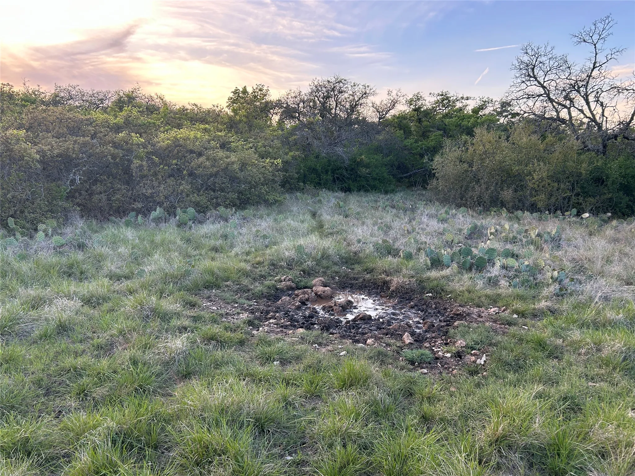 Ranch For Sale in Mills County , 198 County Road 259, Goldthwaite, Texas 76844, 0, 0, Garage spaces, 0 Sqft, built in 0, mls#21222224, Real Estate Agent in Goldthwaite, Homes For Sale in Mills county, Homes For Sale in Goldthwaite, Realtor in Goldthwaite Texas, Real Estate Brokerage Independent Realty Texas, Luminita Cordes Realtor