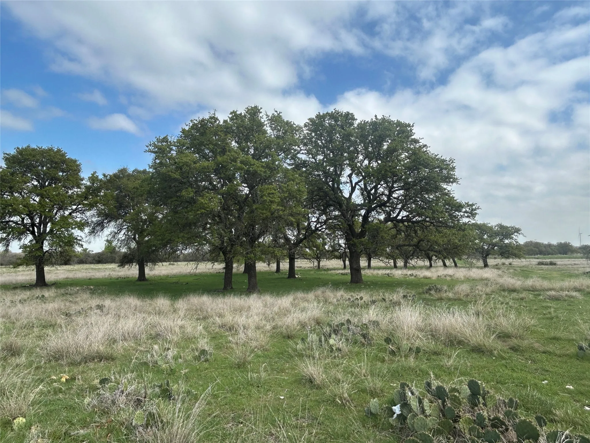Ranch For Sale in Mills County , 198 County Road 259, Goldthwaite, Texas 76844, 0, 0, Garage spaces, 0 Sqft, built in 0, mls#21222224, Real Estate Agent in Goldthwaite, Homes For Sale in Mills county, Homes For Sale in Goldthwaite, Realtor in Goldthwaite Texas, Real Estate Brokerage Independent Realty Texas, Luminita Cordes Realtor