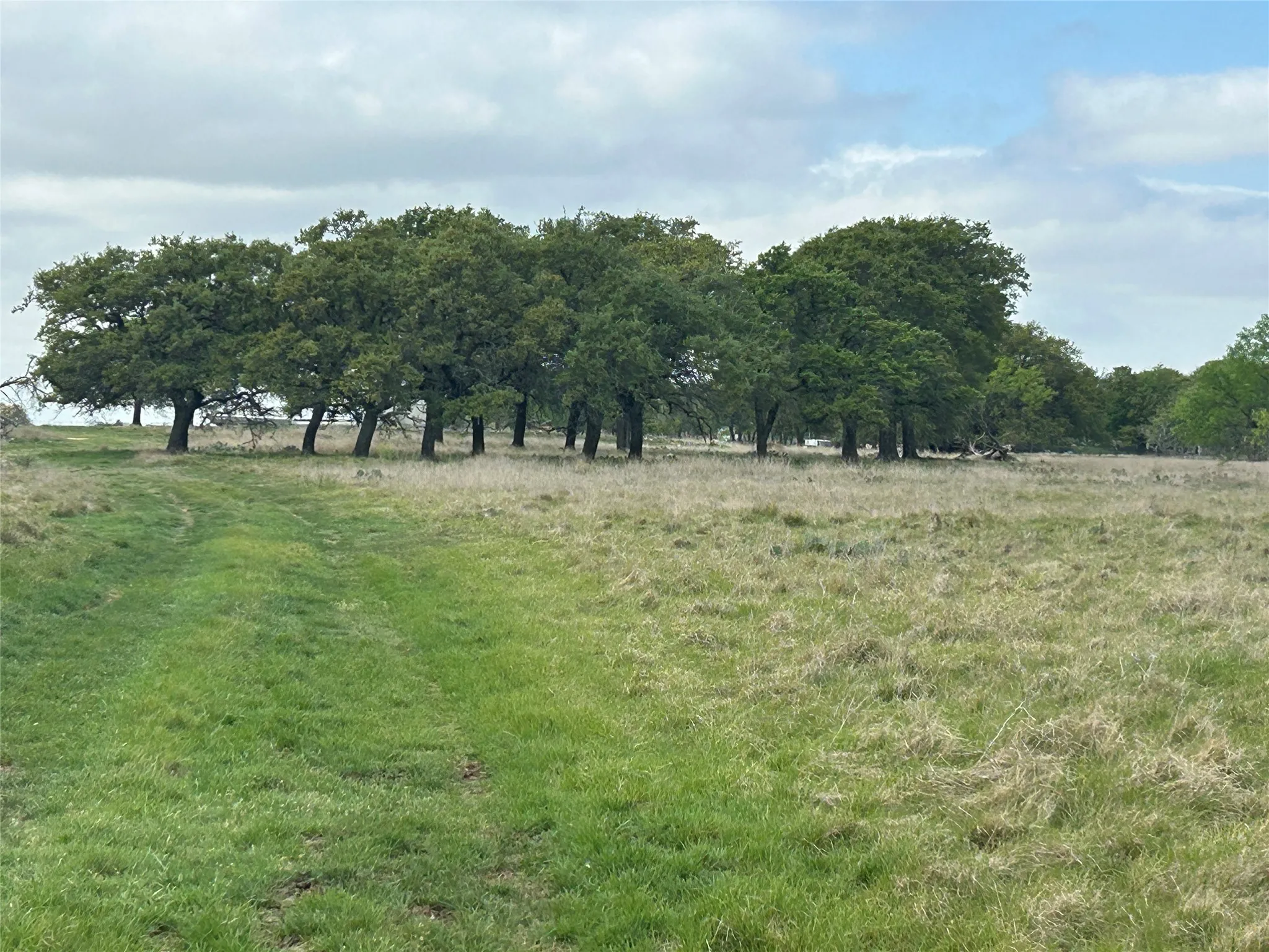 Ranch For Sale in Mills County , 198 County Road 259, Goldthwaite, Texas 76844, 0, 0, Garage spaces, 0 Sqft, built in 0, mls#21222224, Real Estate Agent in Goldthwaite, Homes For Sale in Mills county, Homes For Sale in Goldthwaite, Realtor in Goldthwaite Texas, Real Estate Brokerage Independent Realty Texas, Luminita Cordes Realtor
