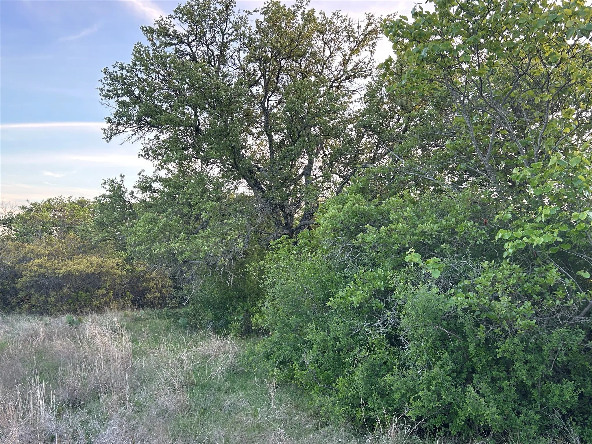 Ranch For Sale in Mills County , 198 County Road 259, Goldthwaite, Texas 76844, 0, 0, Garage spaces, 0 Sqft, built in 0, mls#21222224, Real Estate Agent in Goldthwaite, Homes For Sale in Mills county, Homes For Sale in Goldthwaite, Realtor in Goldthwaite Texas, Real Estate Brokerage Independent Realty Texas, Luminita Cordes Realtor
