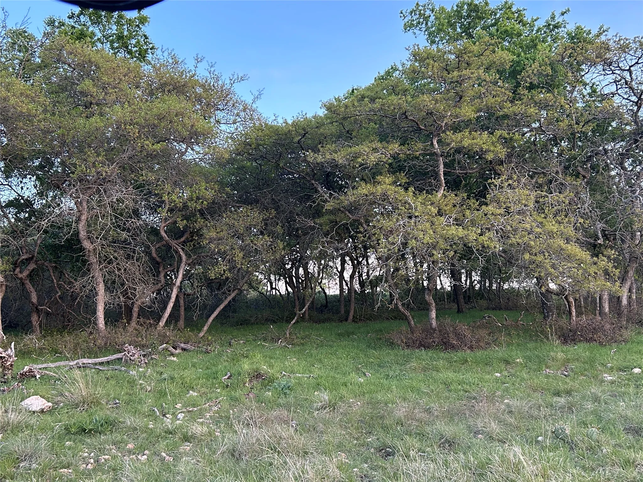 Ranch For Sale in Mills County , 198 County Road 259, Goldthwaite, Texas 76844, 0, 0, Garage spaces, 0 Sqft, built in 0, mls#21222224, Real Estate Agent in Goldthwaite, Homes For Sale in Mills county, Homes For Sale in Goldthwaite, Realtor in Goldthwaite Texas, Real Estate Brokerage Independent Realty Texas, Luminita Cordes Realtor