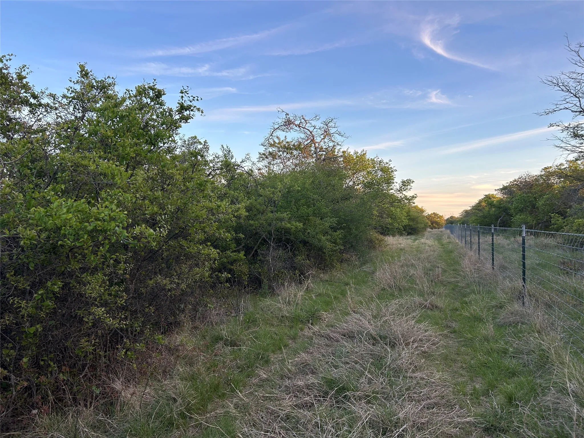 Ranch For Sale in Mills County , 198 County Road 259, Goldthwaite, Texas 76844, 0, 0, Garage spaces, 0 Sqft, built in 0, mls#21222224, Real Estate Agent in Goldthwaite, Homes For Sale in Mills county, Homes For Sale in Goldthwaite, Realtor in Goldthwaite Texas, Real Estate Brokerage Independent Realty Texas, Luminita Cordes Realtor