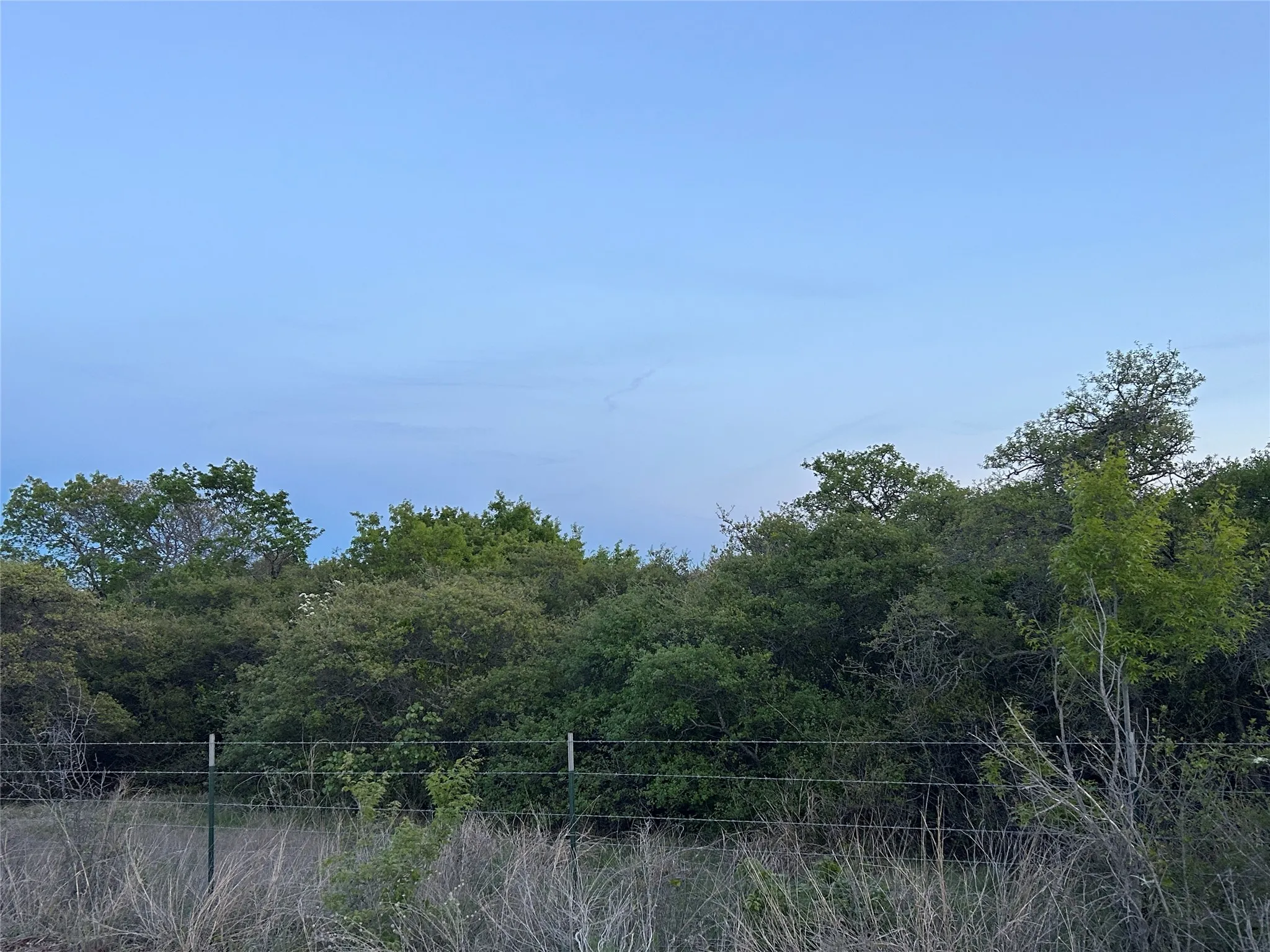 Ranch For Sale in Mills County , 198 County Road 259, Goldthwaite, Texas 76844, 0, 0, Garage spaces, 0 Sqft, built in 0, mls#21222224, Real Estate Agent in Goldthwaite, Homes For Sale in Mills county, Homes For Sale in Goldthwaite, Realtor in Goldthwaite Texas, Real Estate Brokerage Independent Realty Texas, Luminita Cordes Realtor