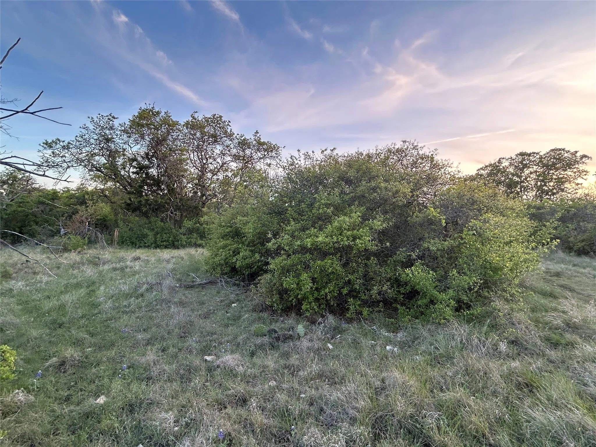 Ranch For Sale in Mills County , 198 County Road 259, Goldthwaite, Texas 76844, 0, 0, Garage spaces, 0 Sqft, built in 0, mls#21222224, Real Estate Agent in Goldthwaite, Homes For Sale in Mills county, Homes For Sale in Goldthwaite, Realtor in Goldthwaite Texas, Real Estate Brokerage Independent Realty Texas, Luminita Cordes Realtor