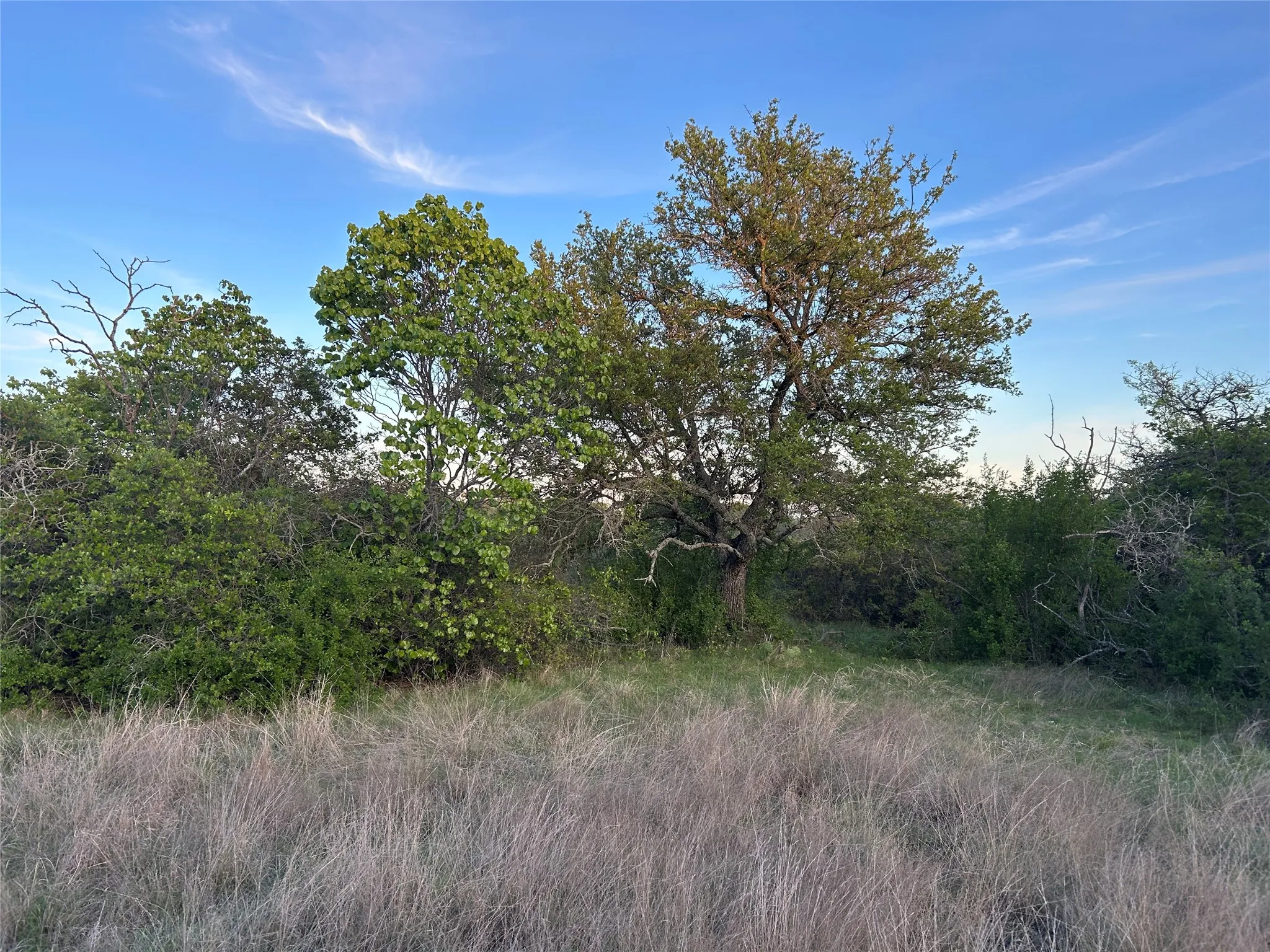 Ranch For Sale in Mills County , 198 County Road 259, Goldthwaite, Texas 76844, 0, 0, Garage spaces, 0 Sqft, built in 0, mls#21222224, Real Estate Agent in Goldthwaite, Homes For Sale in Mills county, Homes For Sale in Goldthwaite, Realtor in Goldthwaite Texas, Real Estate Brokerage Independent Realty Texas, Luminita Cordes Realtor