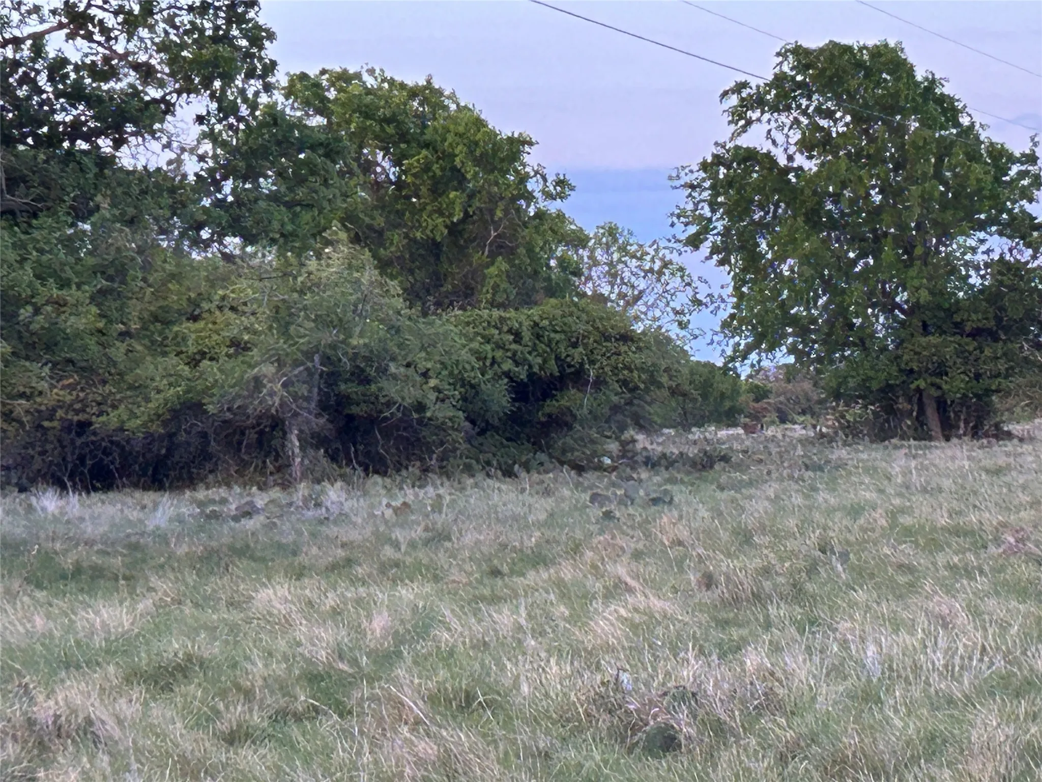 Ranch For Sale in Mills County , 198 County Road 259, Goldthwaite, Texas 76844, 0, 0, Garage spaces, 0 Sqft, built in 0, mls#21222224, Real Estate Agent in Goldthwaite, Homes For Sale in Mills county, Homes For Sale in Goldthwaite, Realtor in Goldthwaite Texas, Real Estate Brokerage Independent Realty Texas, Luminita Cordes Realtor