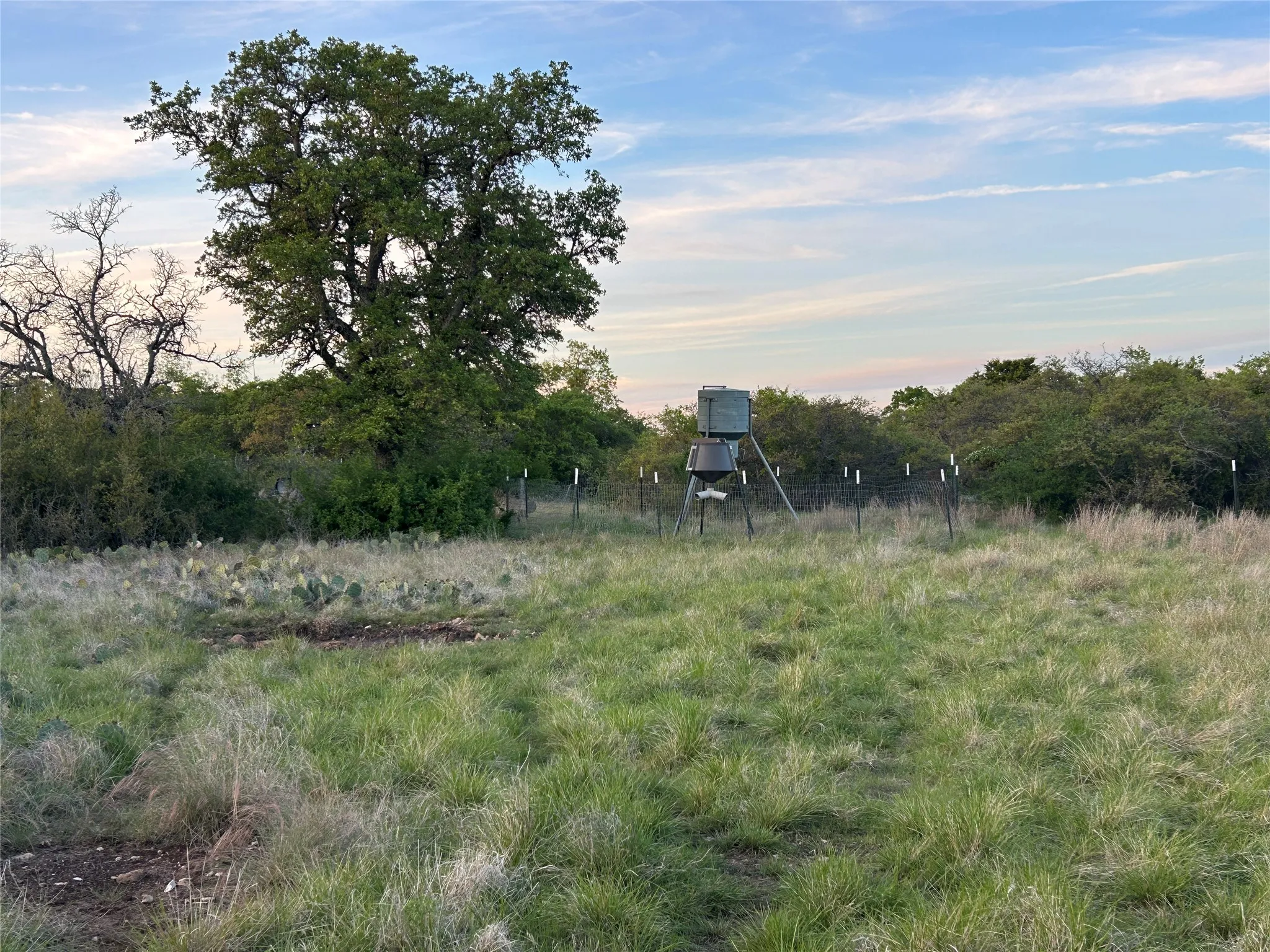 Ranch For Sale in Mills County , 198 County Road 259, Goldthwaite, Texas 76844, 0, 0, Garage spaces, 0 Sqft, built in 0, mls#21222224, Real Estate Agent in Goldthwaite, Homes For Sale in Mills county, Homes For Sale in Goldthwaite, Realtor in Goldthwaite Texas, Real Estate Brokerage Independent Realty Texas, Luminita Cordes Realtor