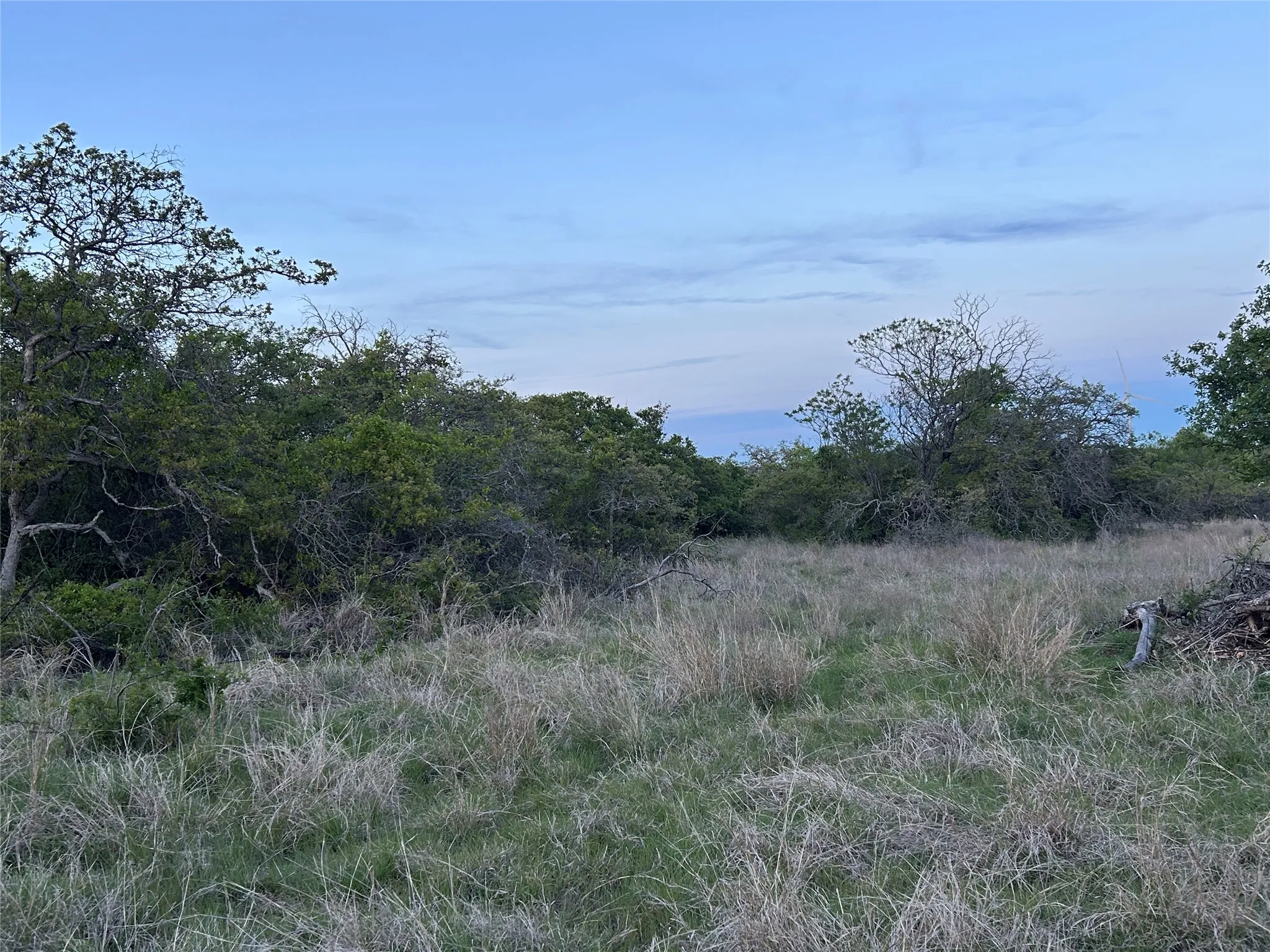 Ranch For Sale in Mills County , 198 County Road 259, Goldthwaite, Texas 76844, 0, 0, Garage spaces, 0 Sqft, built in 0, mls#21222224, Real Estate Agent in Goldthwaite, Homes For Sale in Mills county, Homes For Sale in Goldthwaite, Realtor in Goldthwaite Texas, Real Estate Brokerage Independent Realty Texas, Luminita Cordes Realtor
