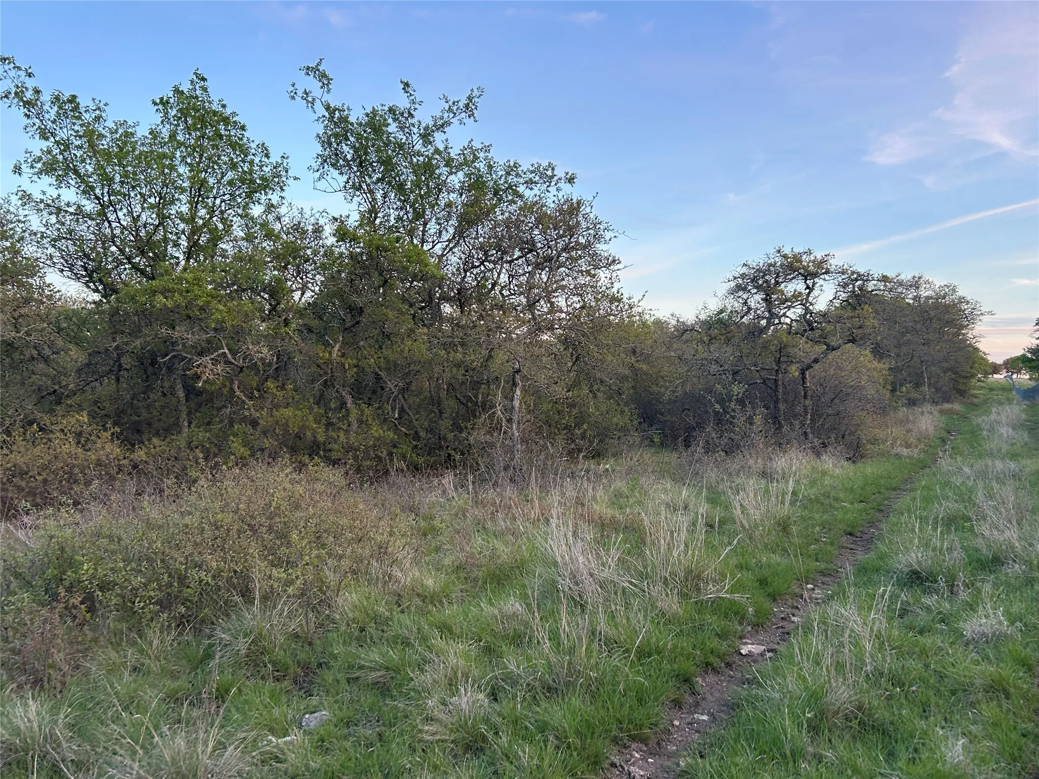 Ranch For Sale in Mills County , 198 County Road 259, Goldthwaite, Texas 76844, 0, 0, Garage spaces, 0 Sqft, built in 0, mls#21222224, Real Estate Agent in Goldthwaite, Homes For Sale in Mills county, Homes For Sale in Goldthwaite, Realtor in Goldthwaite Texas, Real Estate Brokerage Independent Realty Texas, Luminita Cordes Realtor