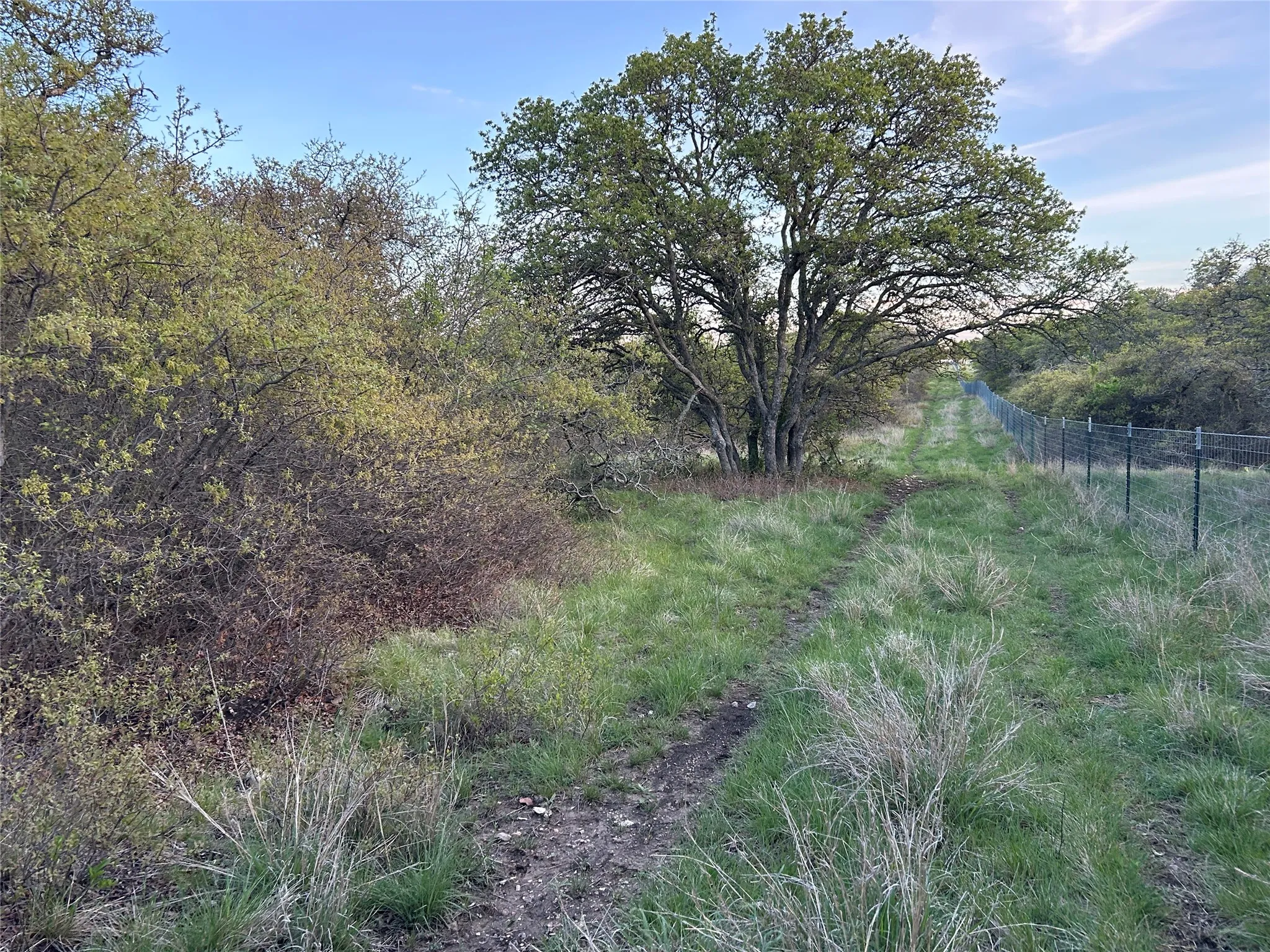 Ranch For Sale in Mills County , 198 County Road 259, Goldthwaite, Texas 76844, 0, 0, Garage spaces, 0 Sqft, built in 0, mls#21222224, Real Estate Agent in Goldthwaite, Homes For Sale in Mills county, Homes For Sale in Goldthwaite, Realtor in Goldthwaite Texas, Real Estate Brokerage Independent Realty Texas, Luminita Cordes Realtor