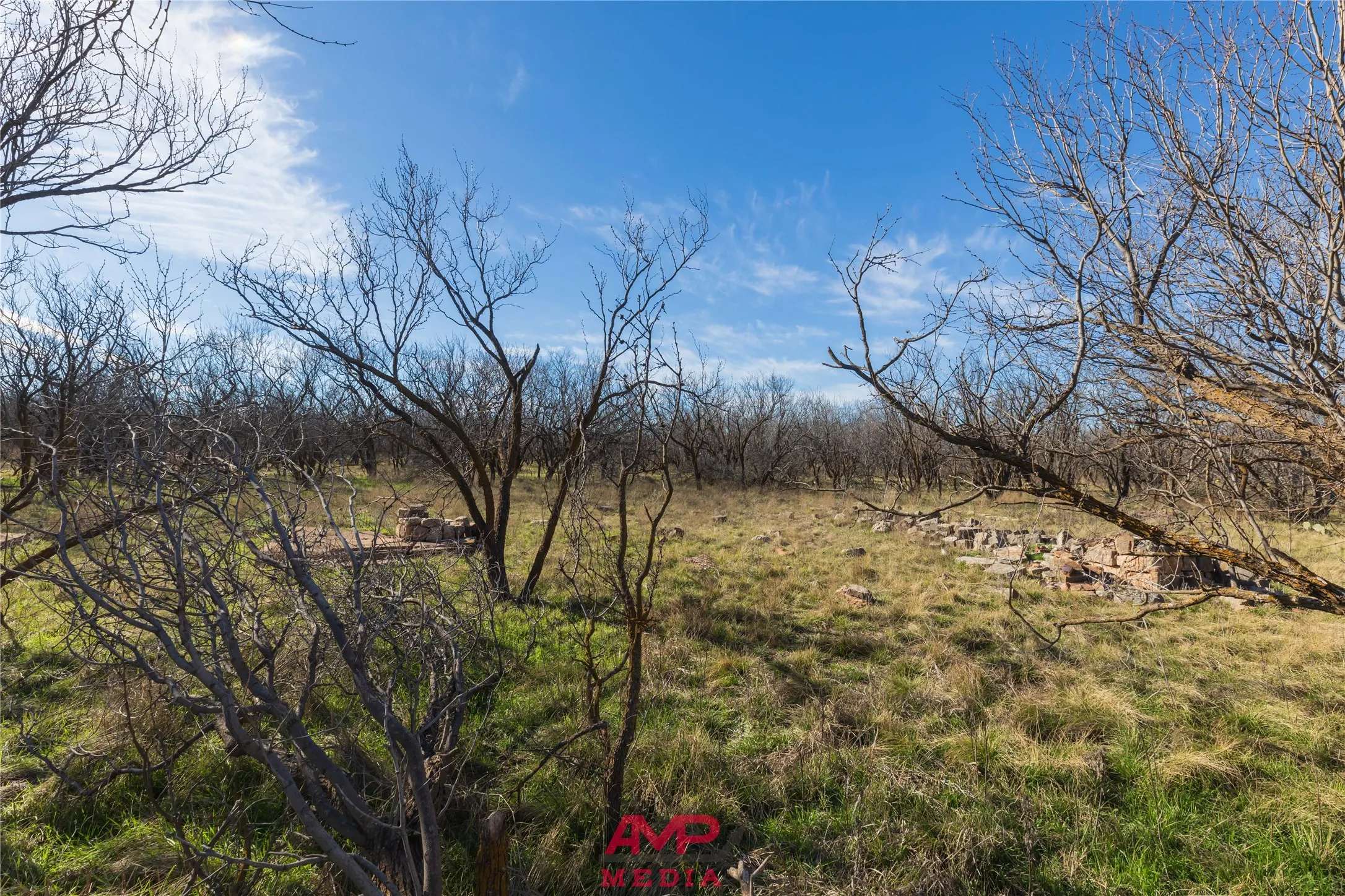 Ranch For Sale in Jones County , T B D County Road 260, Avoca, Texas 79503, 0, 0, Garage spaces, 0 Sqft, built in 0, Price $558,900, mls#21222690, Real Estate Agent in Avoca, Homes For Sale in Jones county, Homes For Sale in Avoca, Realtor in Avoca Texas, Real Estate Brokerage Independent Realty Texas, Luminita Cordes Realtor