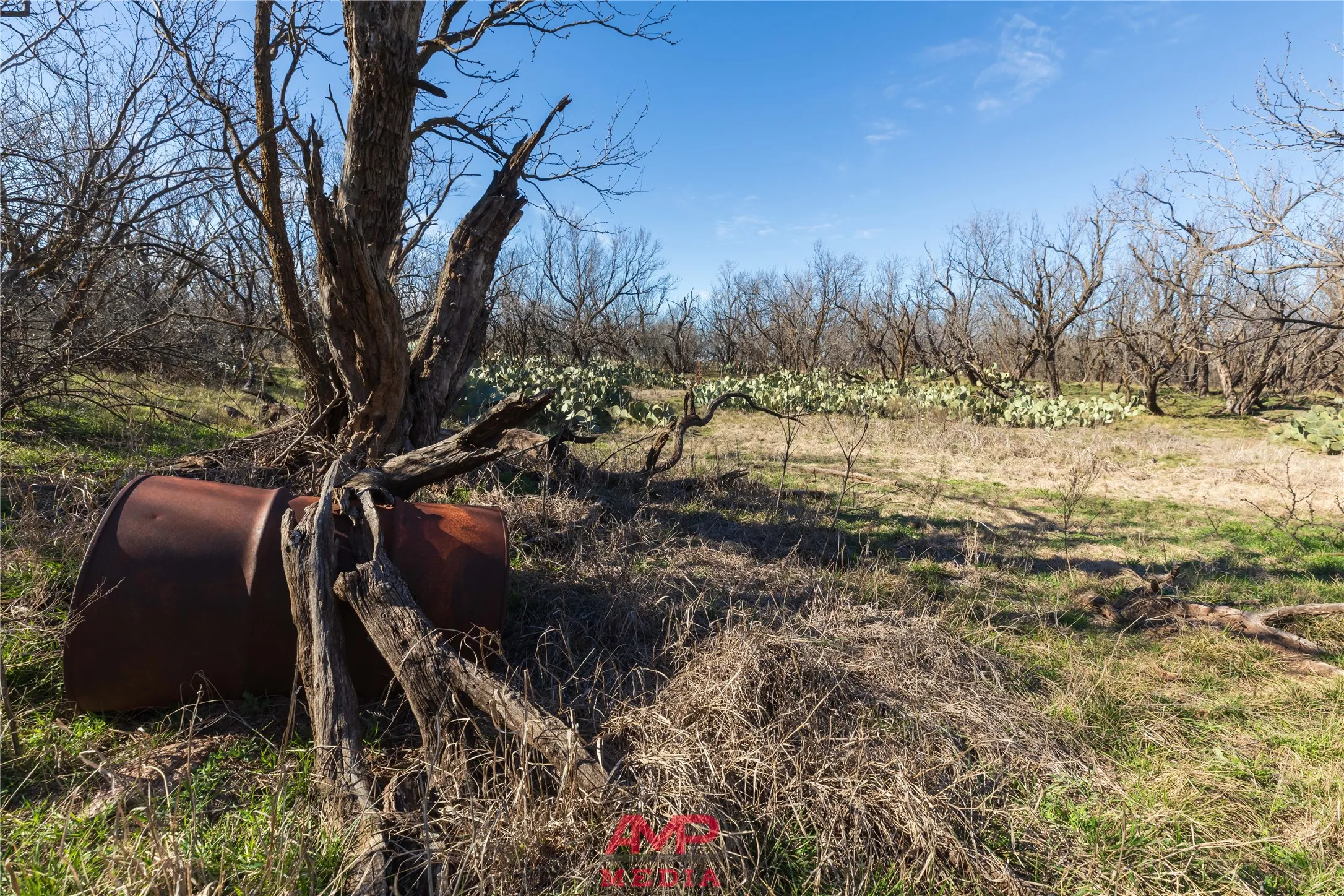 Ranch For Sale in Jones County , T B D County Road 260, Avoca, Texas 79503, 0, 0, Garage spaces, 0 Sqft, built in 0, Price $558,900, mls#21222690, Real Estate Agent in Avoca, Homes For Sale in Jones county, Homes For Sale in Avoca, Realtor in Avoca Texas, Real Estate Brokerage Independent Realty Texas, Luminita Cordes Realtor