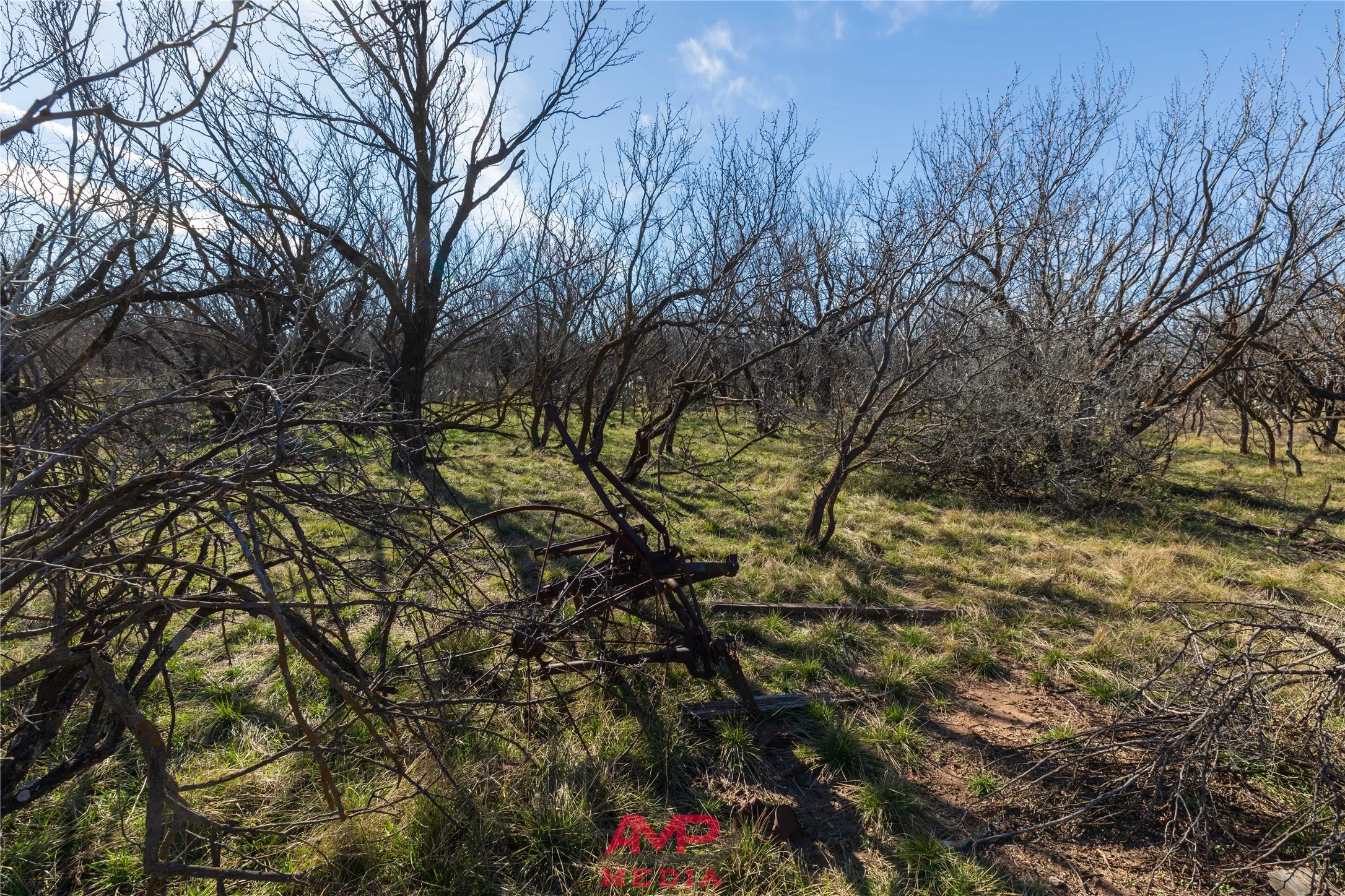 Ranch For Sale in Jones County , T B D County Road 260, Avoca, Texas 79503, 0, 0, Garage spaces, 0 Sqft, built in 0, Price $558,900, mls#21222690, Real Estate Agent in Avoca, Homes For Sale in Jones county, Homes For Sale in Avoca, Realtor in Avoca Texas, Real Estate Brokerage Independent Realty Texas, Luminita Cordes Realtor