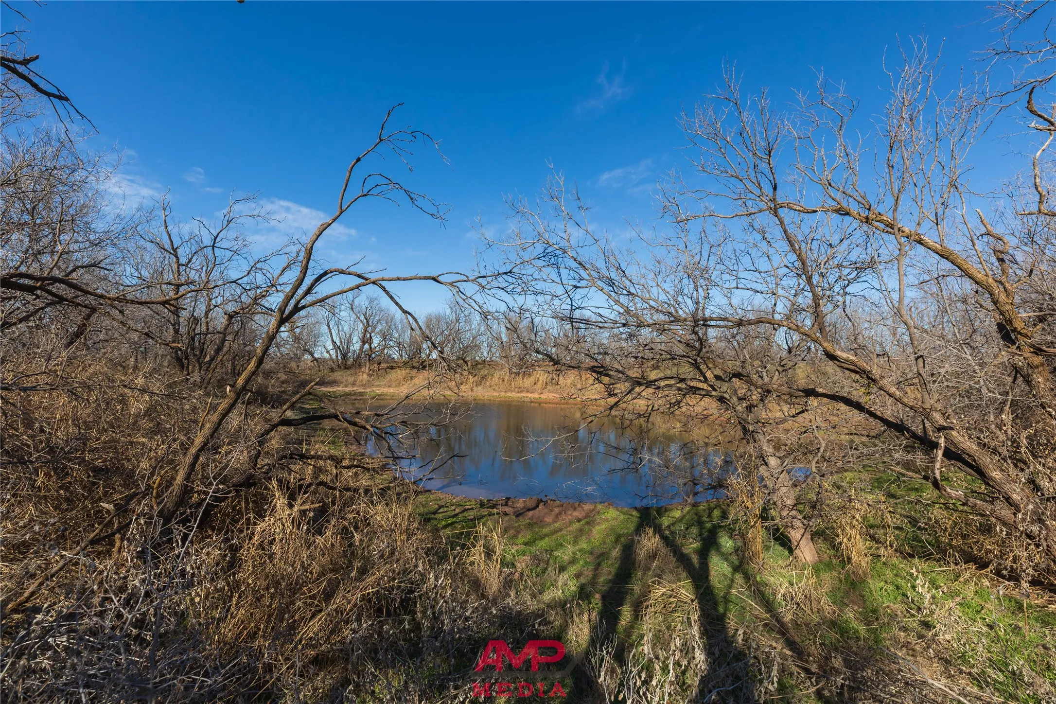 Ranch For Sale in Jones County , T B D County Road 260, Avoca, Texas 79503, 0, 0, Garage spaces, 0 Sqft, built in 0, Price $558,900, mls#21222690, Real Estate Agent in Avoca, Homes For Sale in Jones county, Homes For Sale in Avoca, Realtor in Avoca Texas, Real Estate Brokerage Independent Realty Texas, Luminita Cordes Realtor