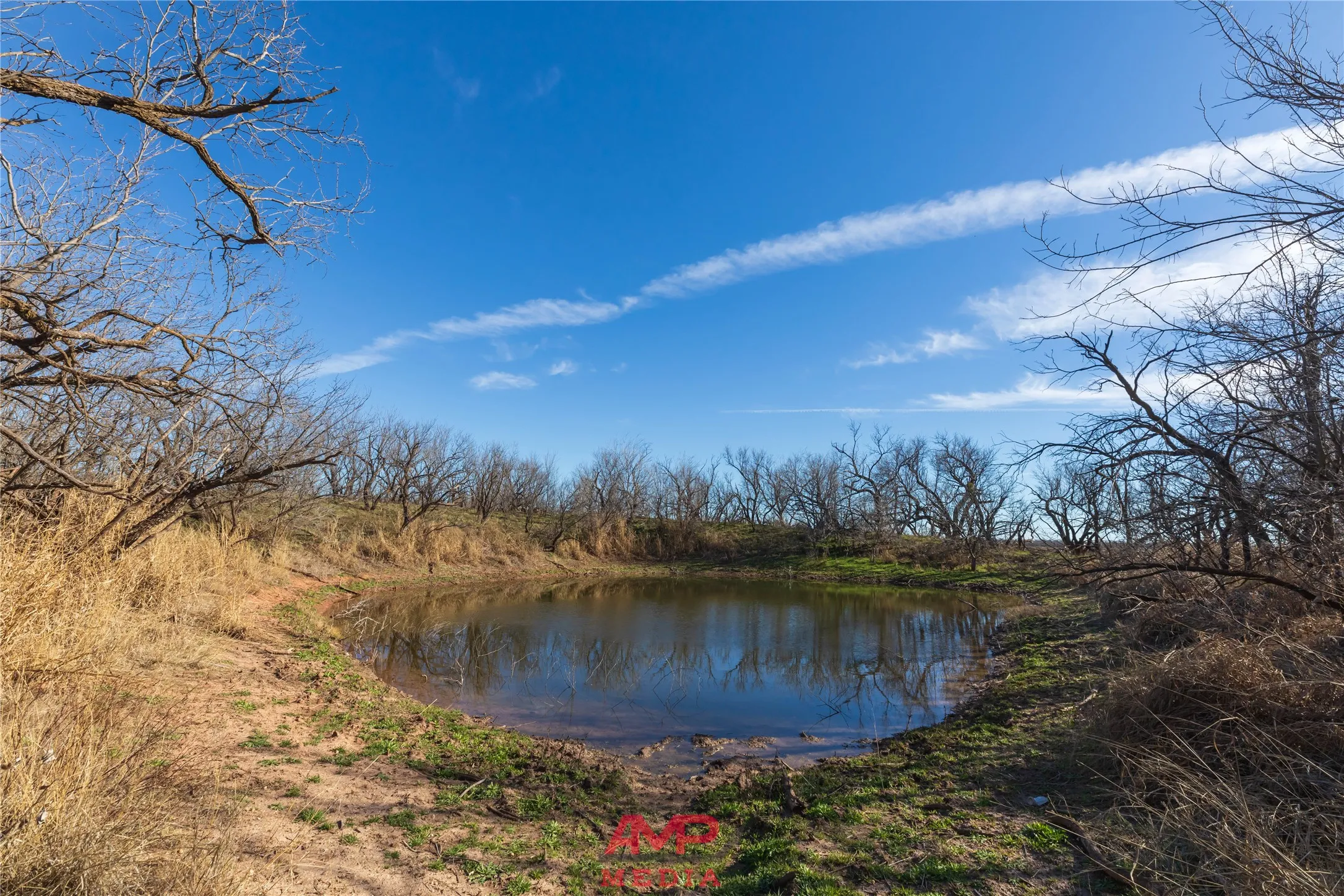 Ranch For Sale in Jones County , T B D County Road 260, Avoca, Texas 79503, 0, 0, Garage spaces, 0 Sqft, built in 0, Price $558,900, mls#21222690, Real Estate Agent in Avoca, Homes For Sale in Jones county, Homes For Sale in Avoca, Realtor in Avoca Texas, Real Estate Brokerage Independent Realty Texas, Luminita Cordes Realtor