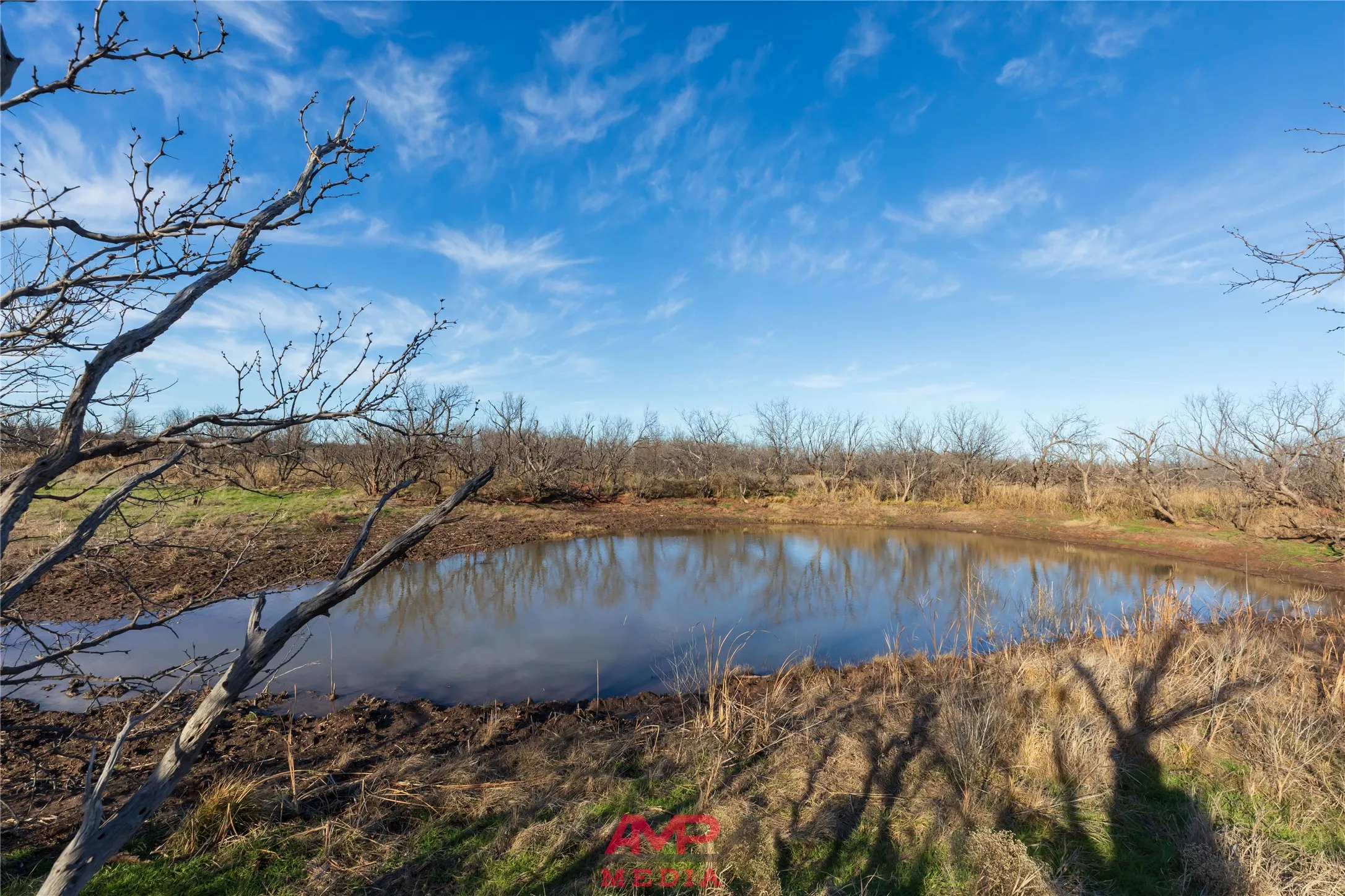 Ranch For Sale in Jones County , T B D County Road 260, Avoca, Texas 79503, 0, 0, Garage spaces, 0 Sqft, built in 0, Price $558,900, mls#21222690, Real Estate Agent in Avoca, Homes For Sale in Jones county, Homes For Sale in Avoca, Realtor in Avoca Texas, Real Estate Brokerage Independent Realty Texas, Luminita Cordes Realtor