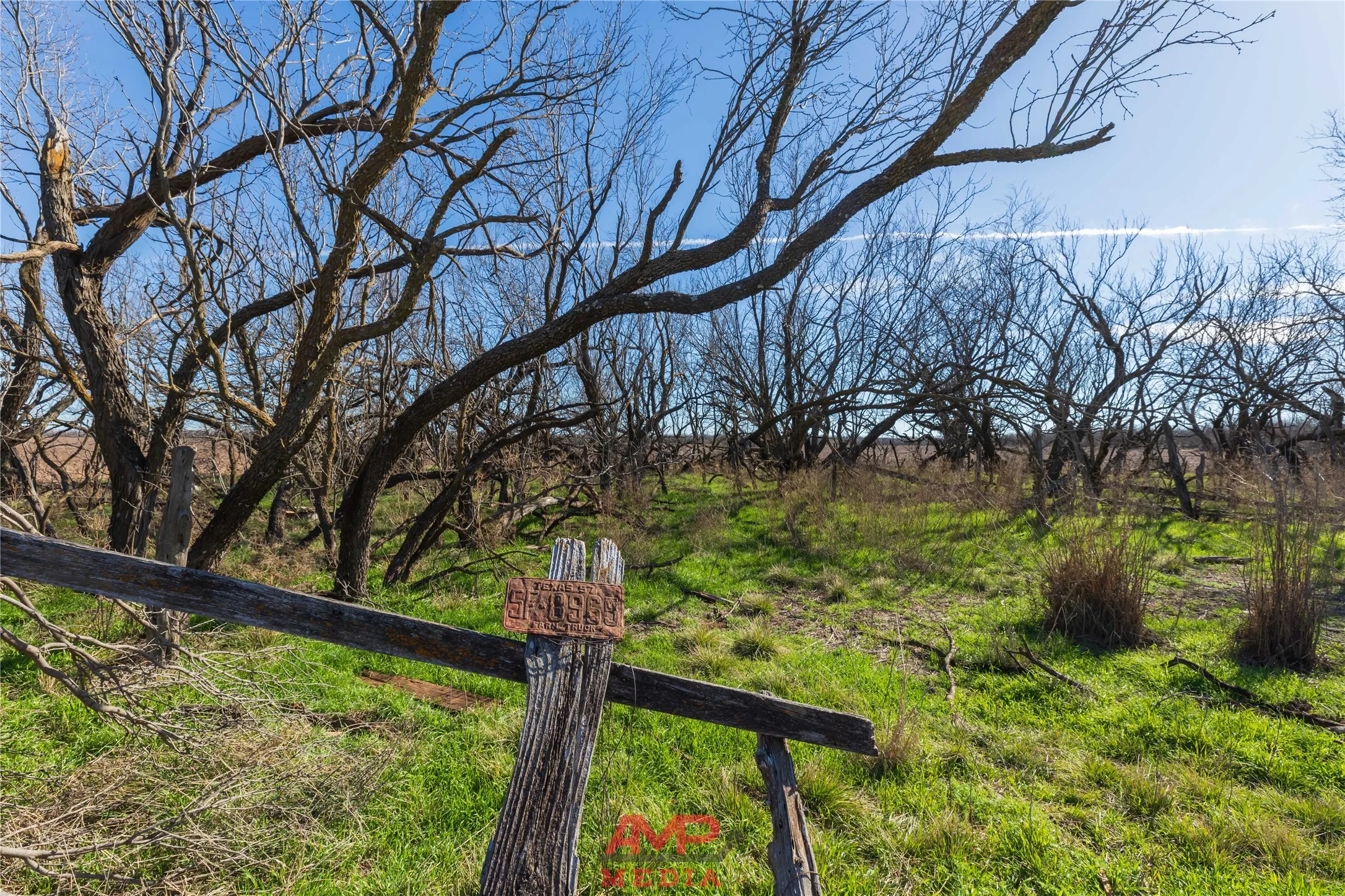 Ranch For Sale in Jones County , T B D County Road 260, Avoca, Texas 79503, 0, 0, Garage spaces, 0 Sqft, built in 0, Price $558,900, mls#21222690, Real Estate Agent in Avoca, Homes For Sale in Jones county, Homes For Sale in Avoca, Realtor in Avoca Texas, Real Estate Brokerage Independent Realty Texas, Luminita Cordes Realtor