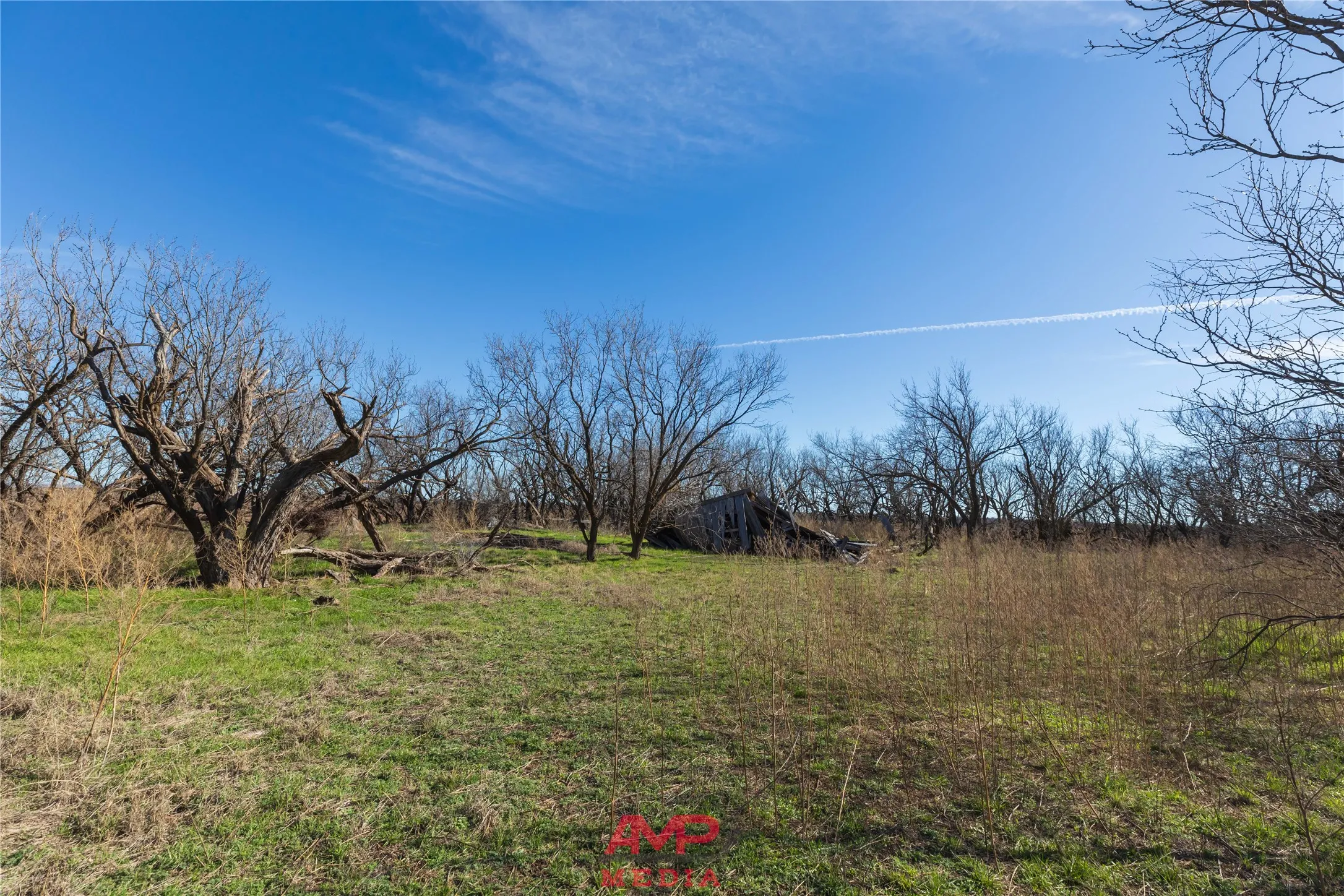 Ranch For Sale in Jones County , T B D County Road 260, Avoca, Texas 79503, 0, 0, Garage spaces, 0 Sqft, built in 0, Price $558,900, mls#21222690, Real Estate Agent in Avoca, Homes For Sale in Jones county, Homes For Sale in Avoca, Realtor in Avoca Texas, Real Estate Brokerage Independent Realty Texas, Luminita Cordes Realtor