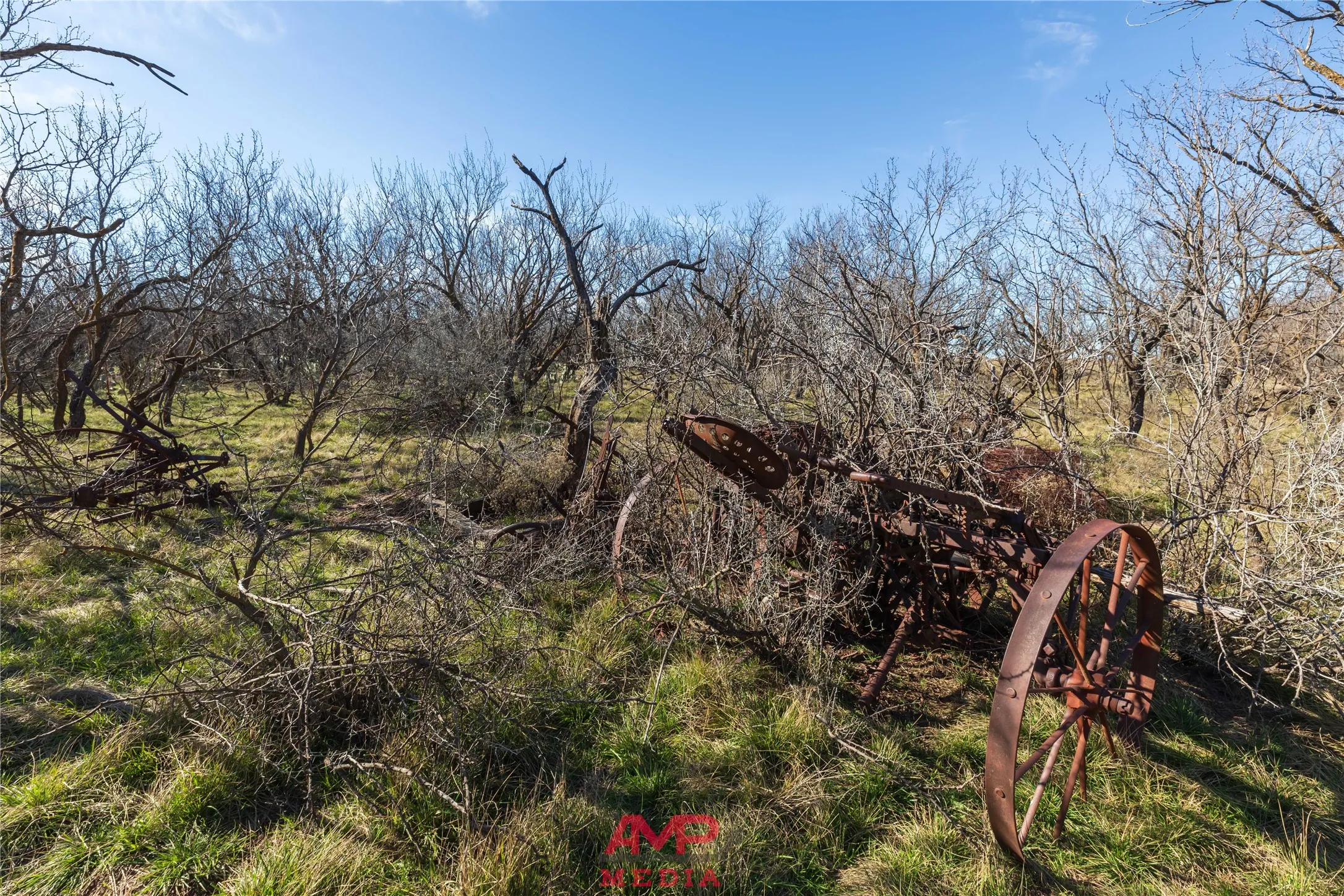 Ranch For Sale in Jones County , T B D County Road 260, Avoca, Texas 79503, 0, 0, Garage spaces, 0 Sqft, built in 0, Price $558,900, mls#21222690, Real Estate Agent in Avoca, Homes For Sale in Jones county, Homes For Sale in Avoca, Realtor in Avoca Texas, Real Estate Brokerage Independent Realty Texas, Luminita Cordes Realtor
