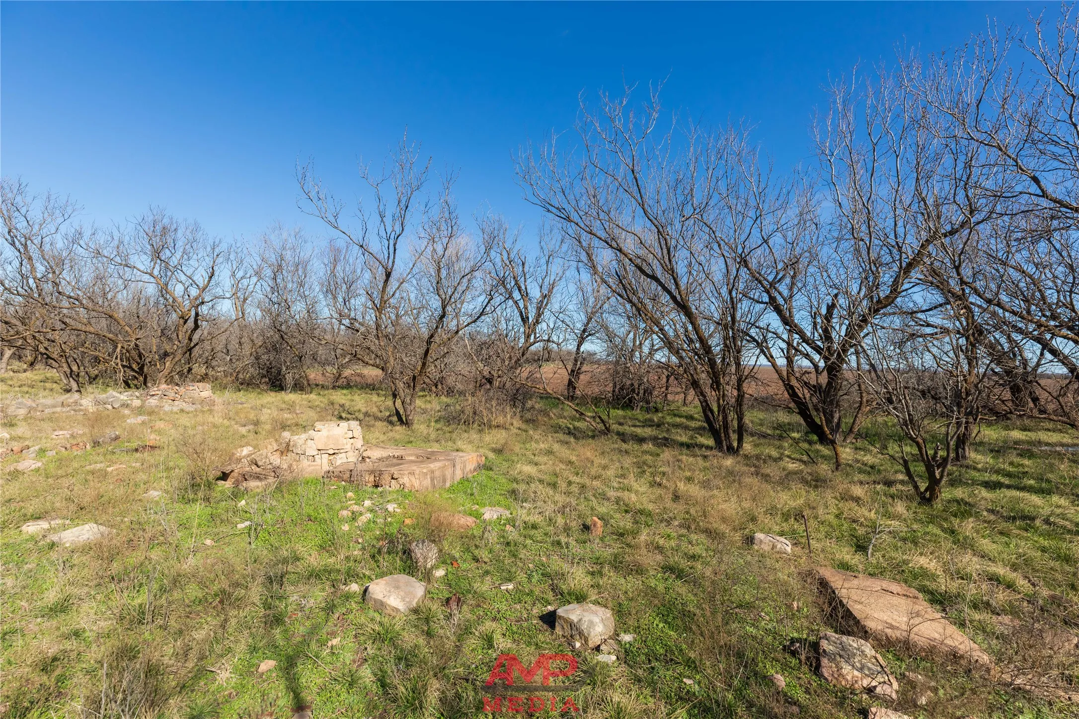 Ranch For Sale in Jones County , T B D County Road 260, Avoca, Texas 79503, 0, 0, Garage spaces, 0 Sqft, built in 0, Price $558,900, mls#21222690, Real Estate Agent in Avoca, Homes For Sale in Jones county, Homes For Sale in Avoca, Realtor in Avoca Texas, Real Estate Brokerage Independent Realty Texas, Luminita Cordes Realtor