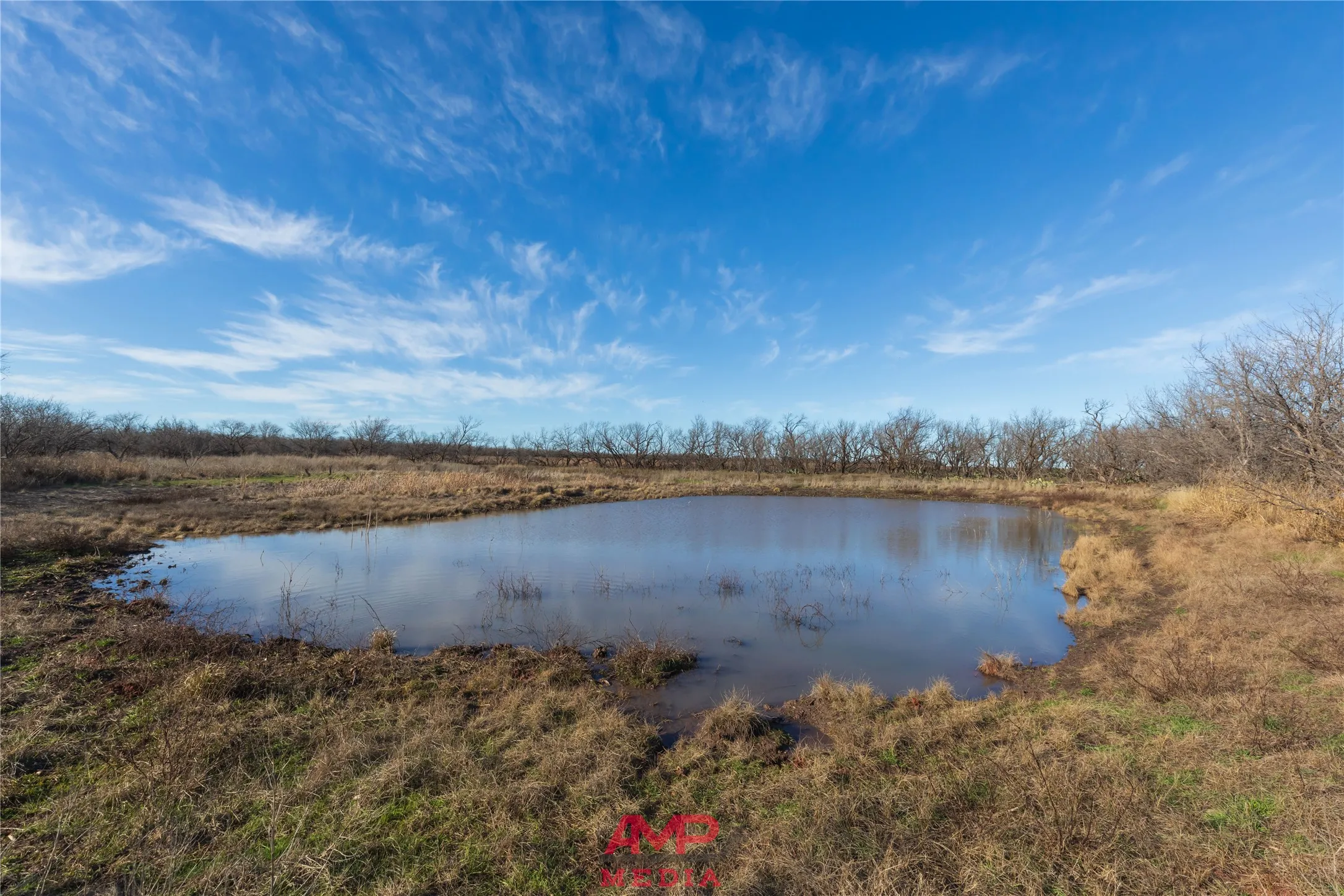 Ranch For Sale in Jones County , T B D County Road 260, Avoca, Texas 79503, 0, 0, Garage spaces, 0 Sqft, built in 0, Price $558,900, mls#21222690, Real Estate Agent in Avoca, Homes For Sale in Jones county, Homes For Sale in Avoca, Realtor in Avoca Texas, Real Estate Brokerage Independent Realty Texas, Luminita Cordes Realtor