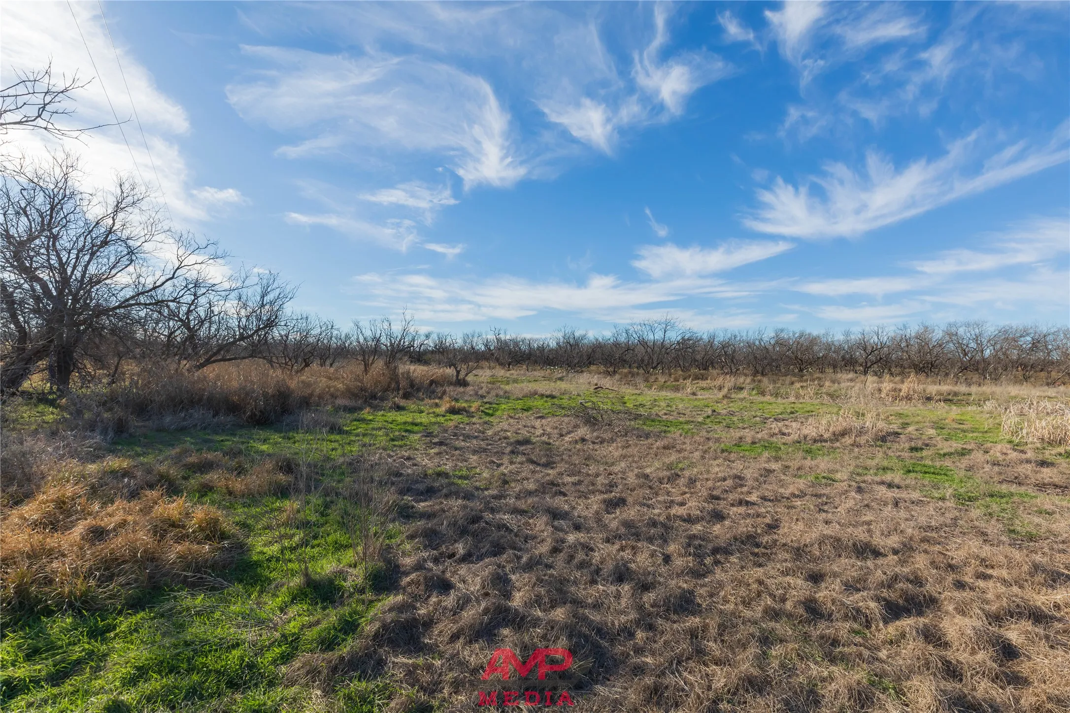 Ranch For Sale in Jones County , T B D County Road 260, Avoca, Texas 79503, 0, 0, Garage spaces, 0 Sqft, built in 0, Price $558,900, mls#21222690, Real Estate Agent in Avoca, Homes For Sale in Jones county, Homes For Sale in Avoca, Realtor in Avoca Texas, Real Estate Brokerage Independent Realty Texas, Luminita Cordes Realtor